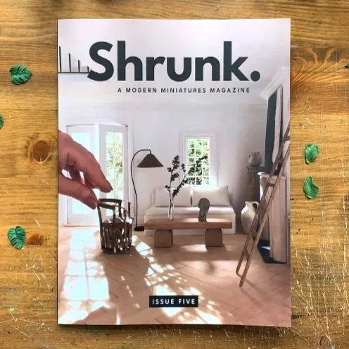 Shrunk magazine issue 5 cover