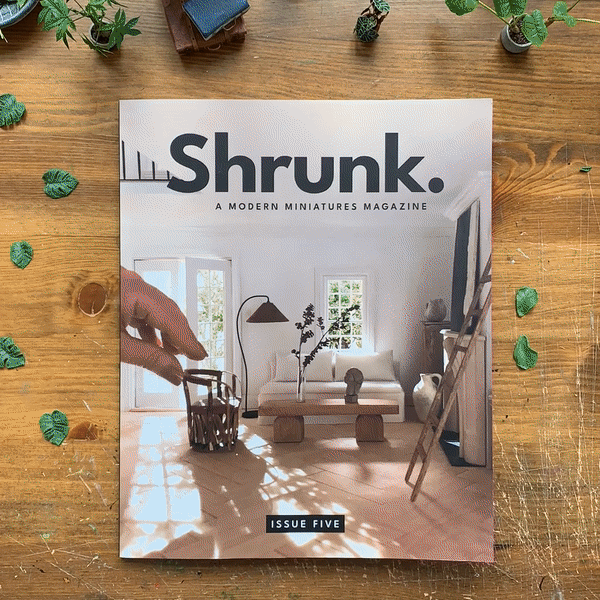 Shrunk Magazine issue 5 gif