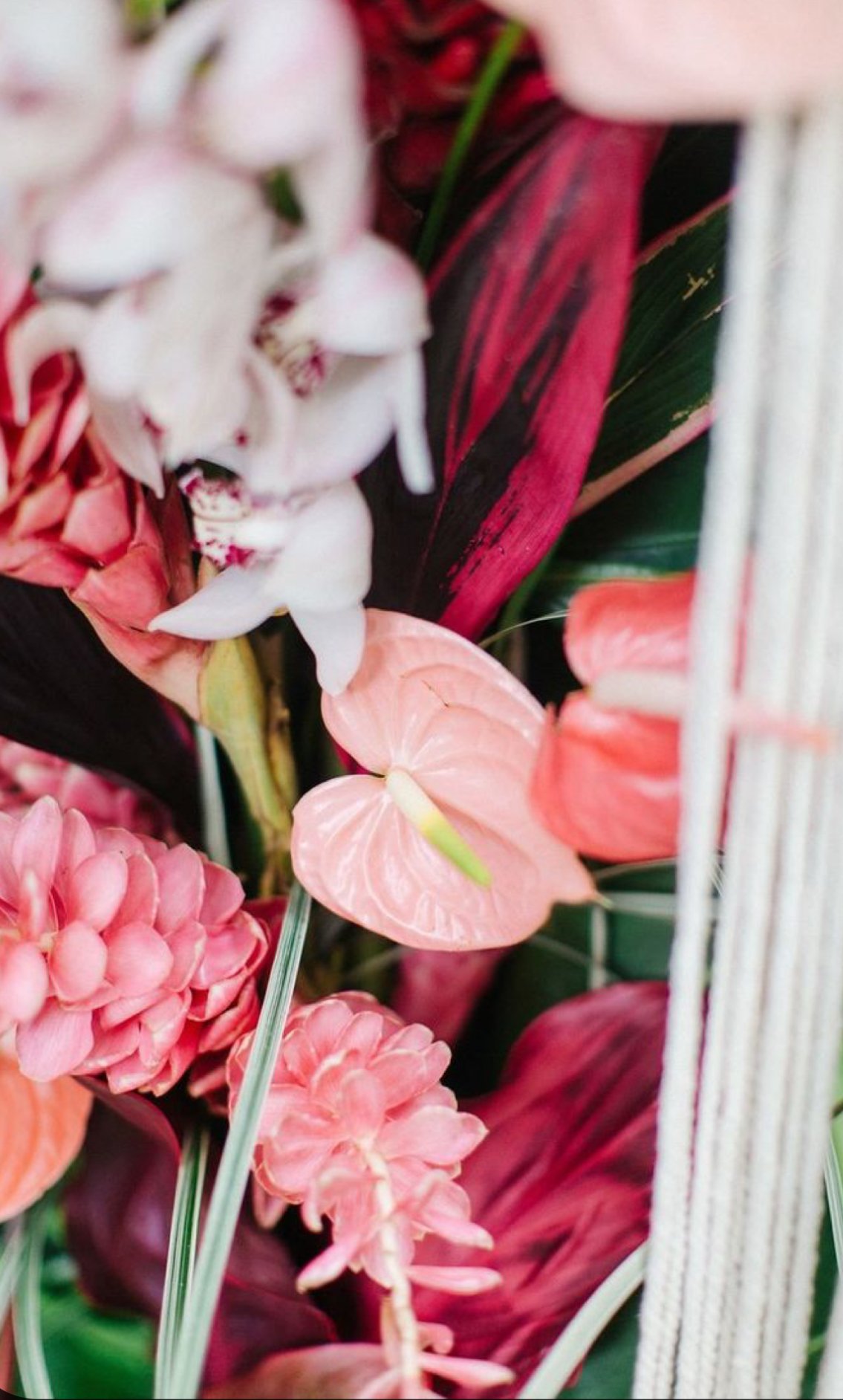 Ku'uipo "Sweetheart" (Extra Large Arrangement)