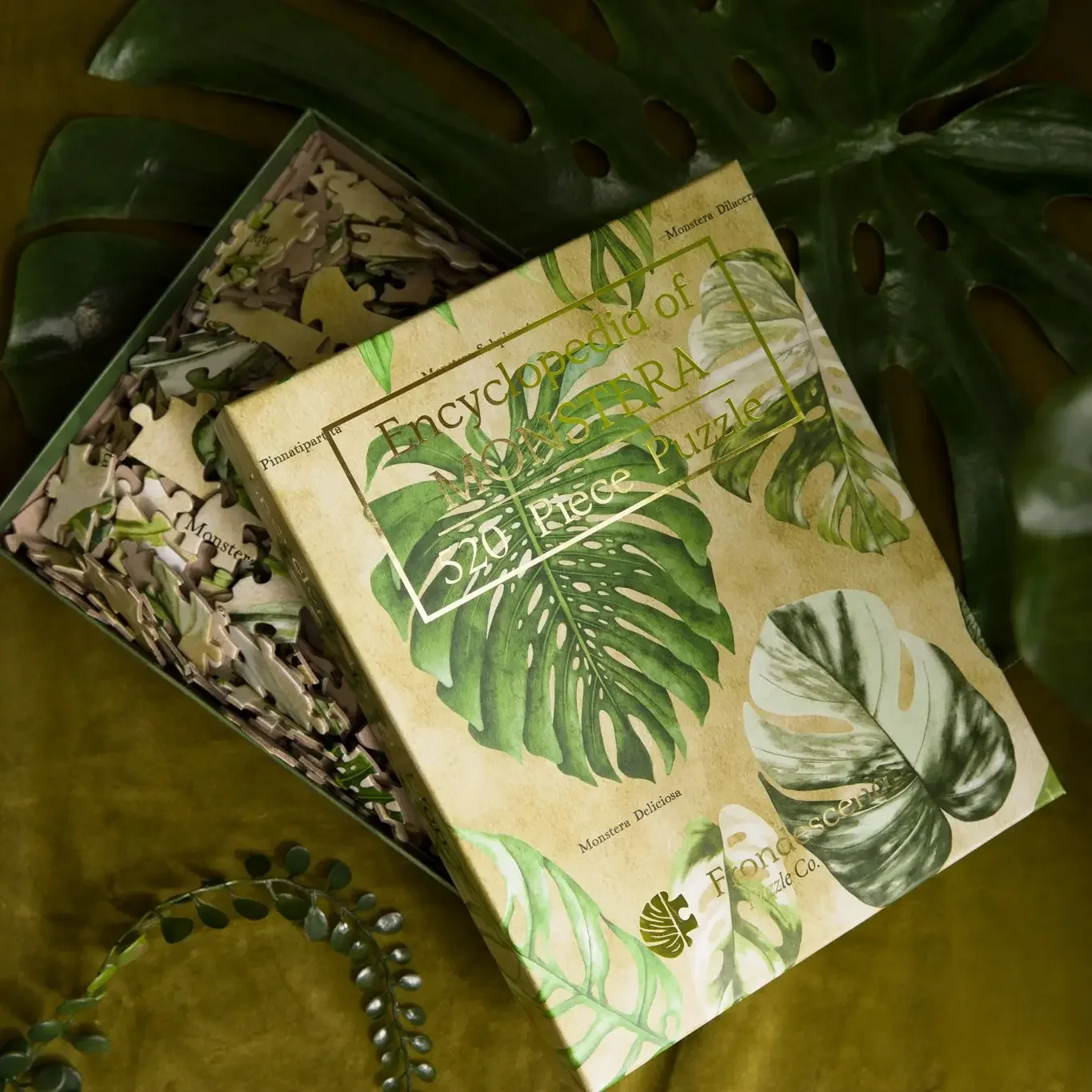 Monstera puzzle (520 pieces)