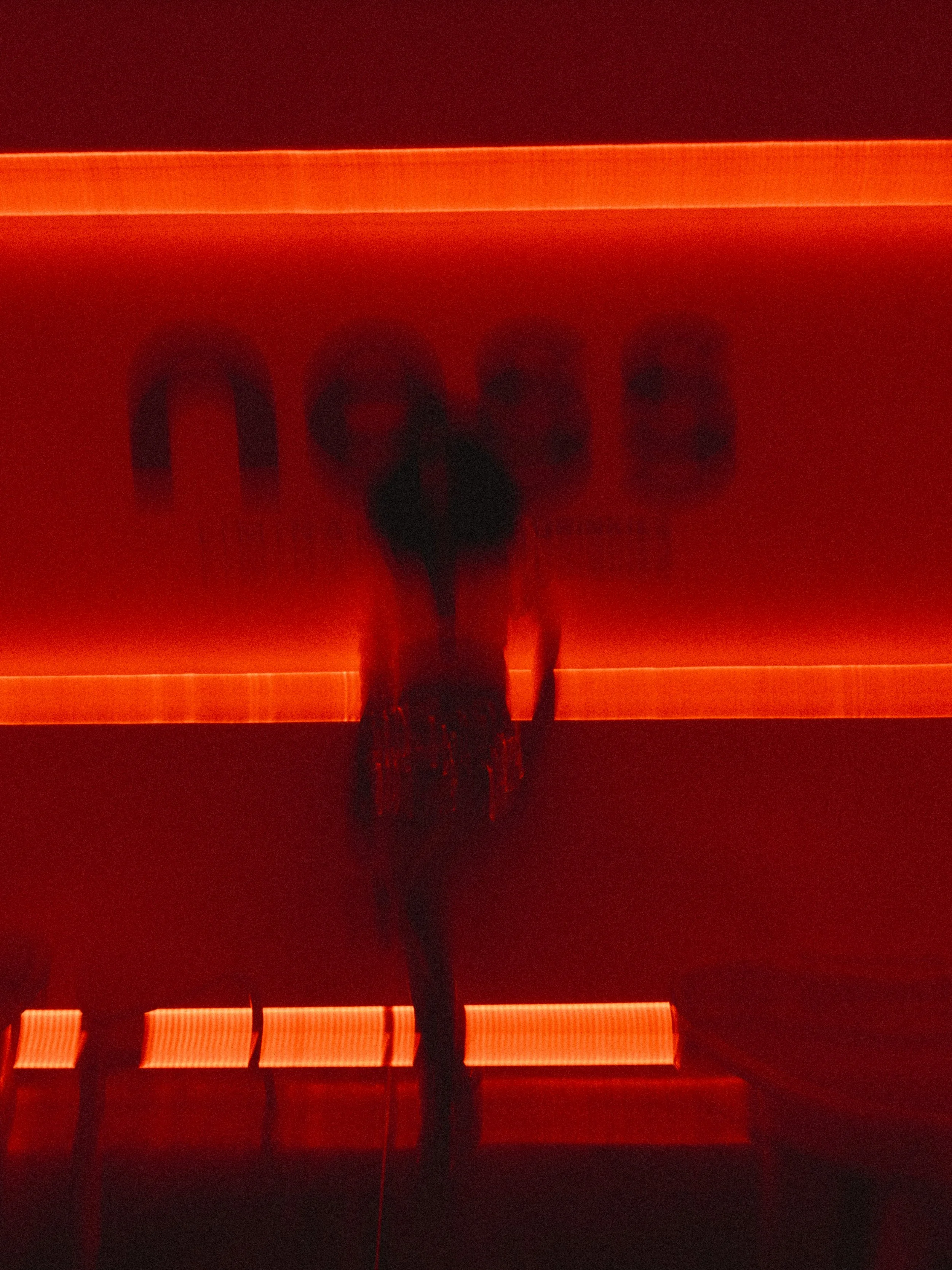 ness-24.jpg