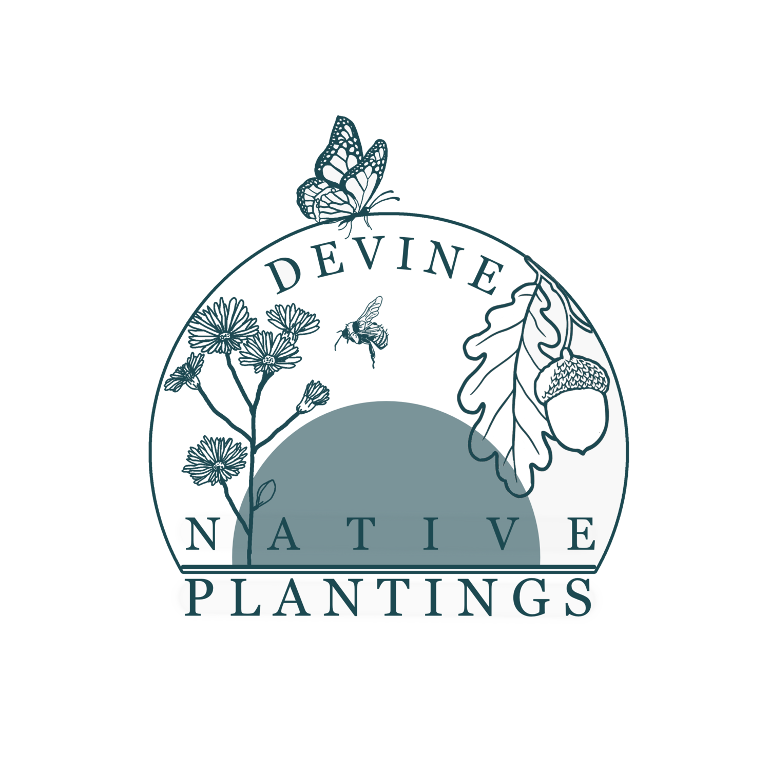 Devine Native Plantings