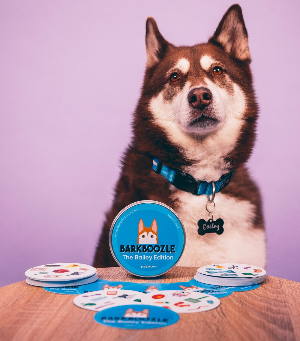 5 Reasons Why Dog People Love Barkboozle!