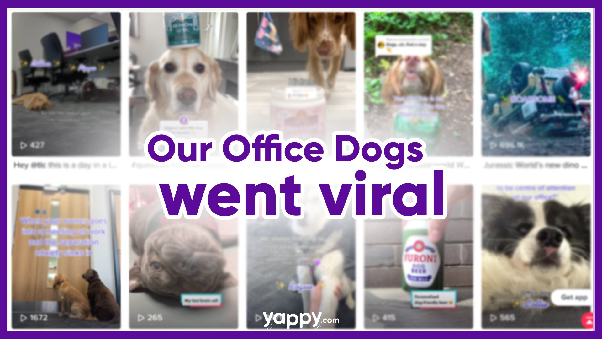 Meet the UK’s Most Famous Dogs in the Workplace