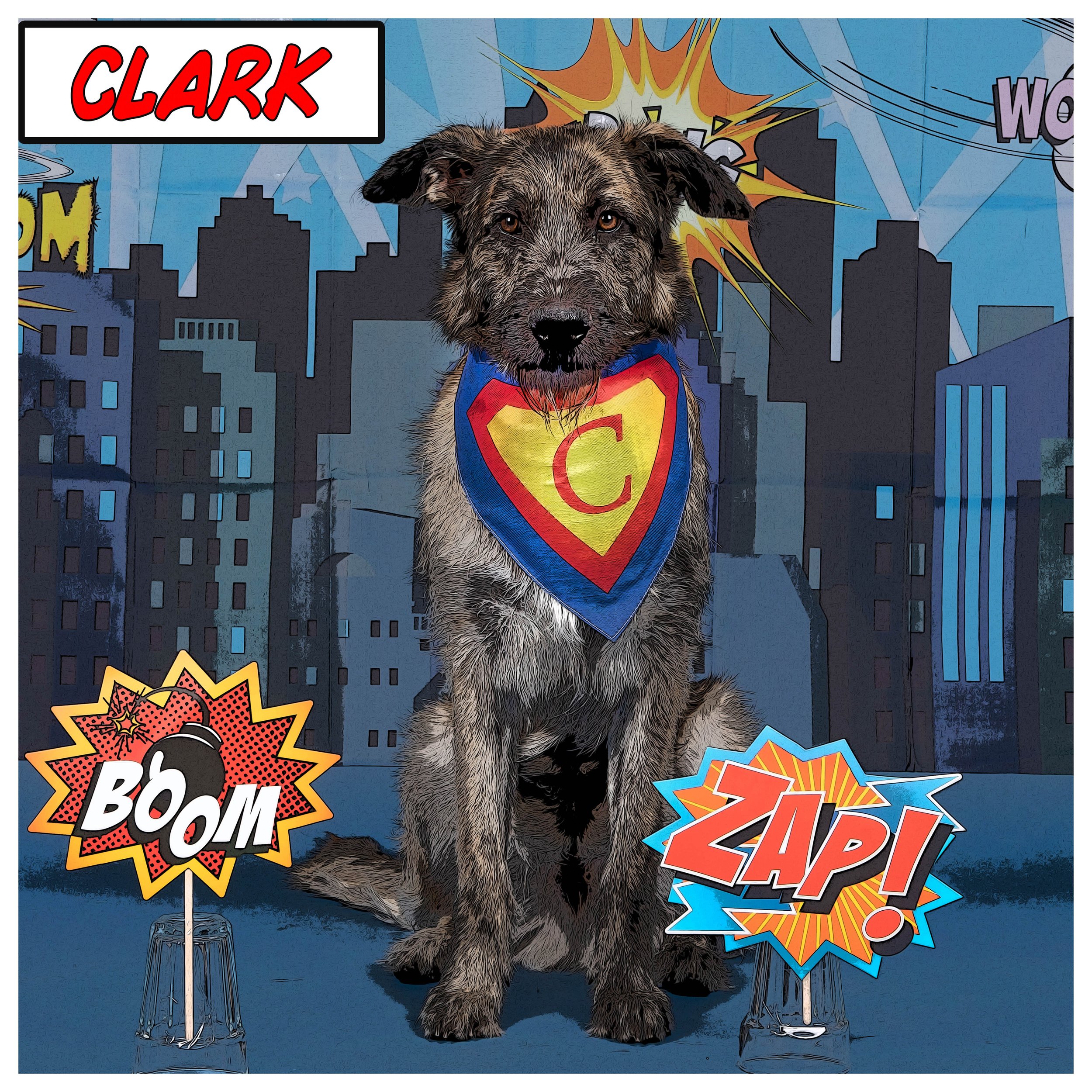 Super Hero Dog Bandana