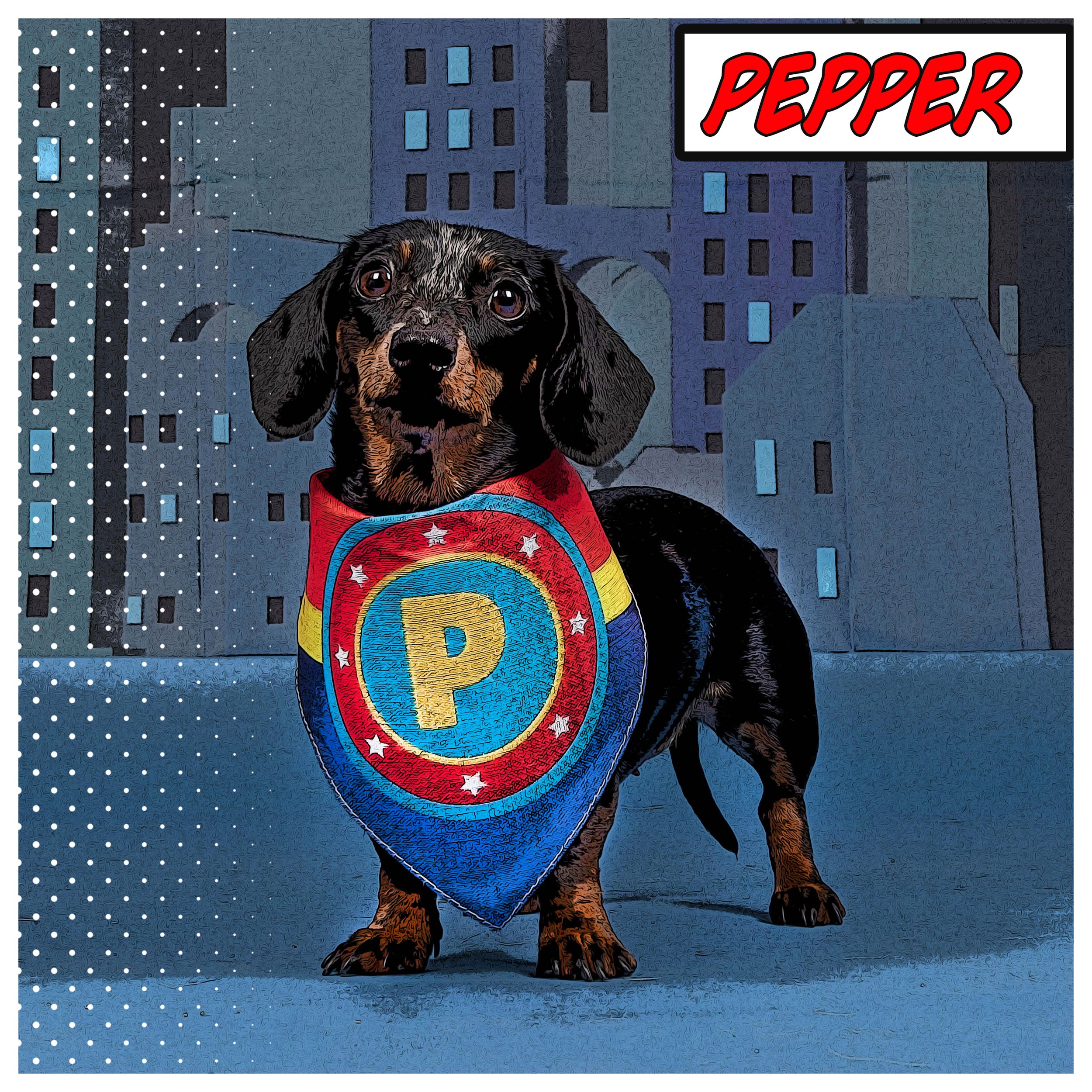 Super Hero Wonder Dog Bandana