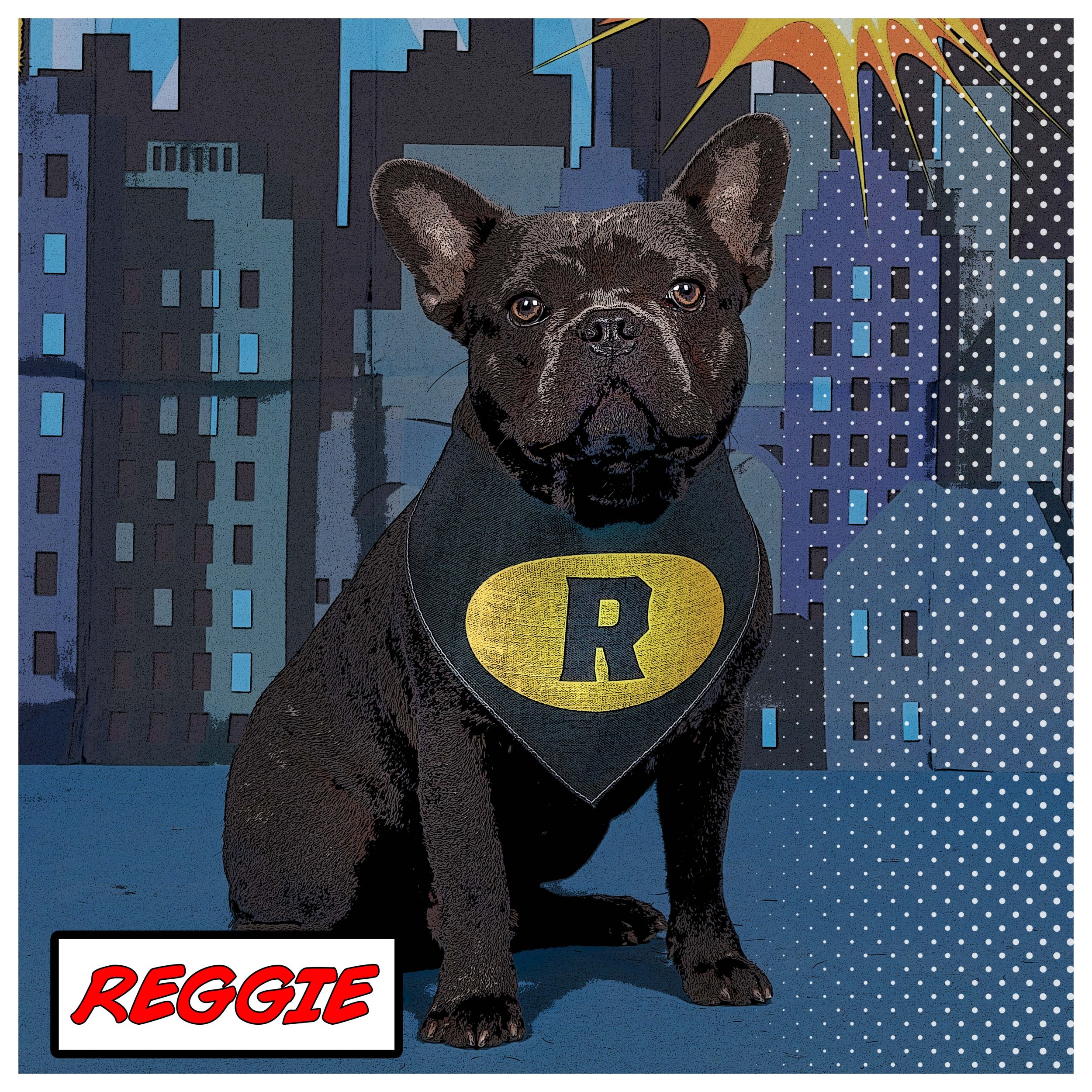 Super Hero Black & Yellow Bandana