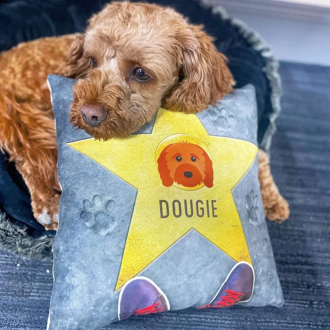 Star of Fame: Personalised Soft Touch Cushion