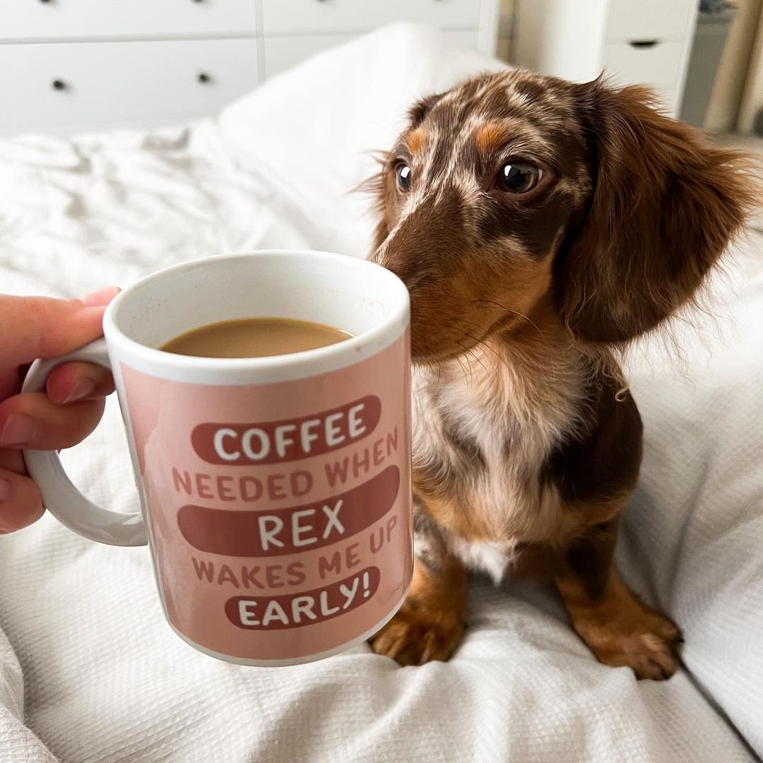 Coffee Needed When... Personalised Dog Mug