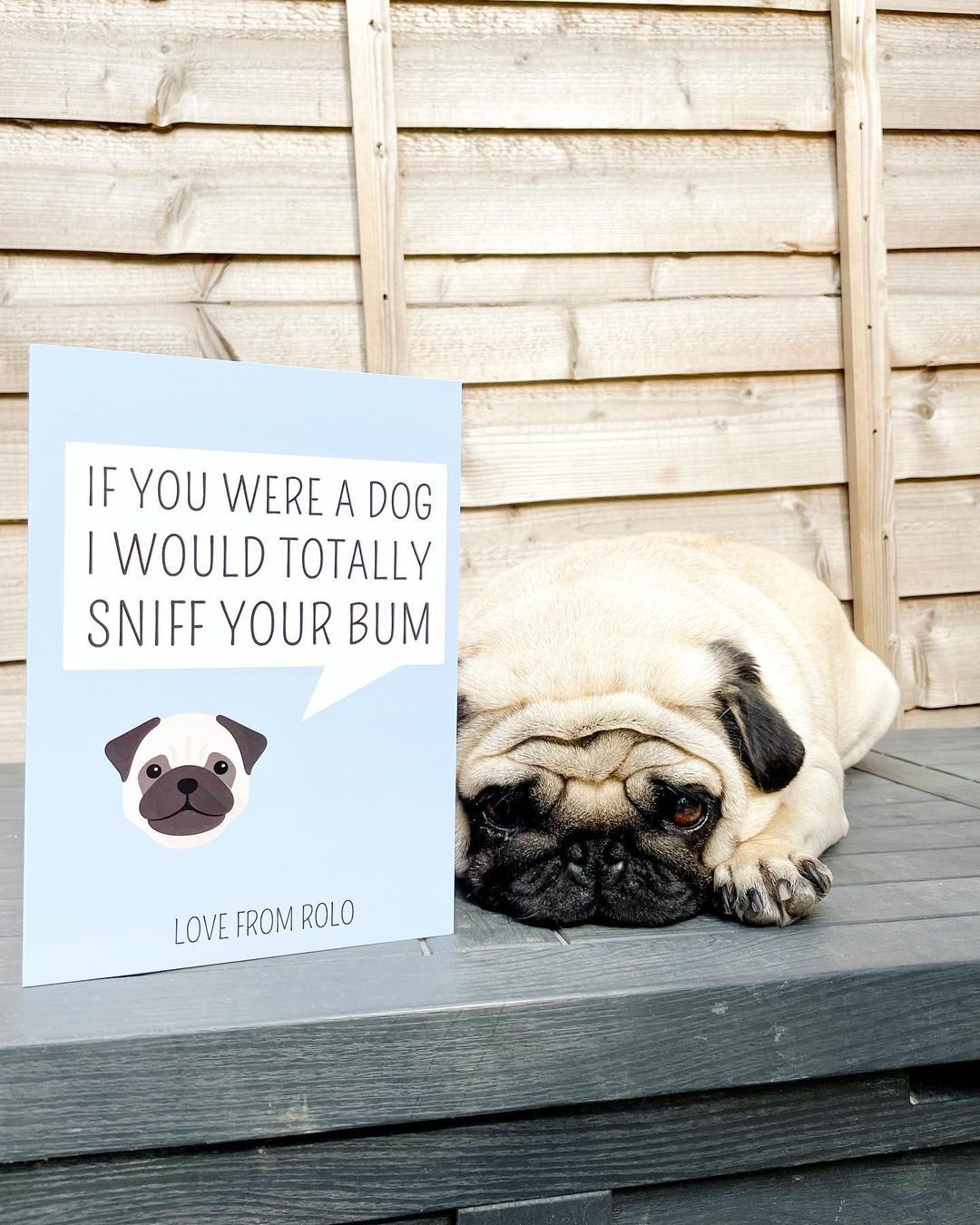 I'd Sniff Your Bum: Personalised Dog Card