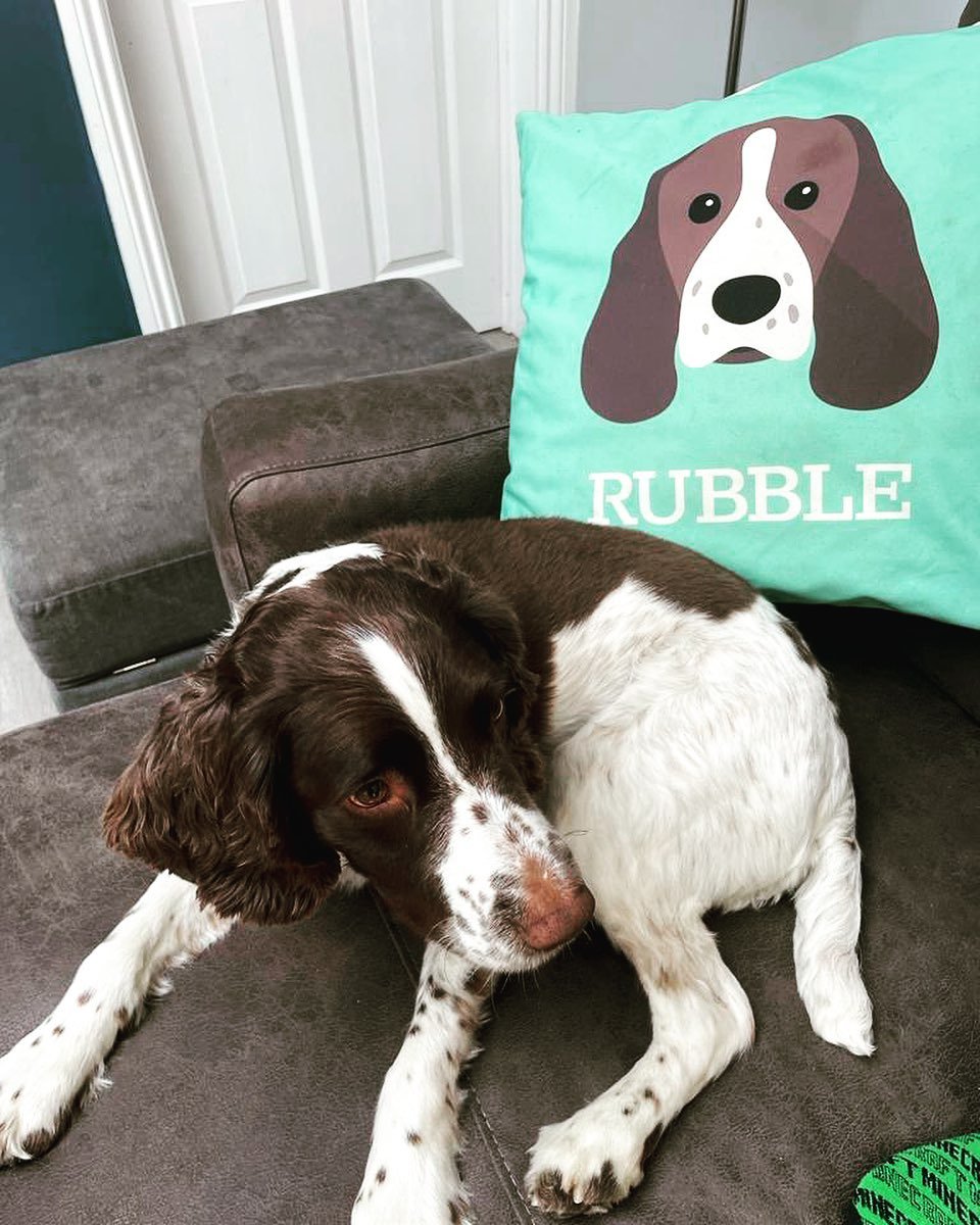 rubble_chase (cushion image).jpg