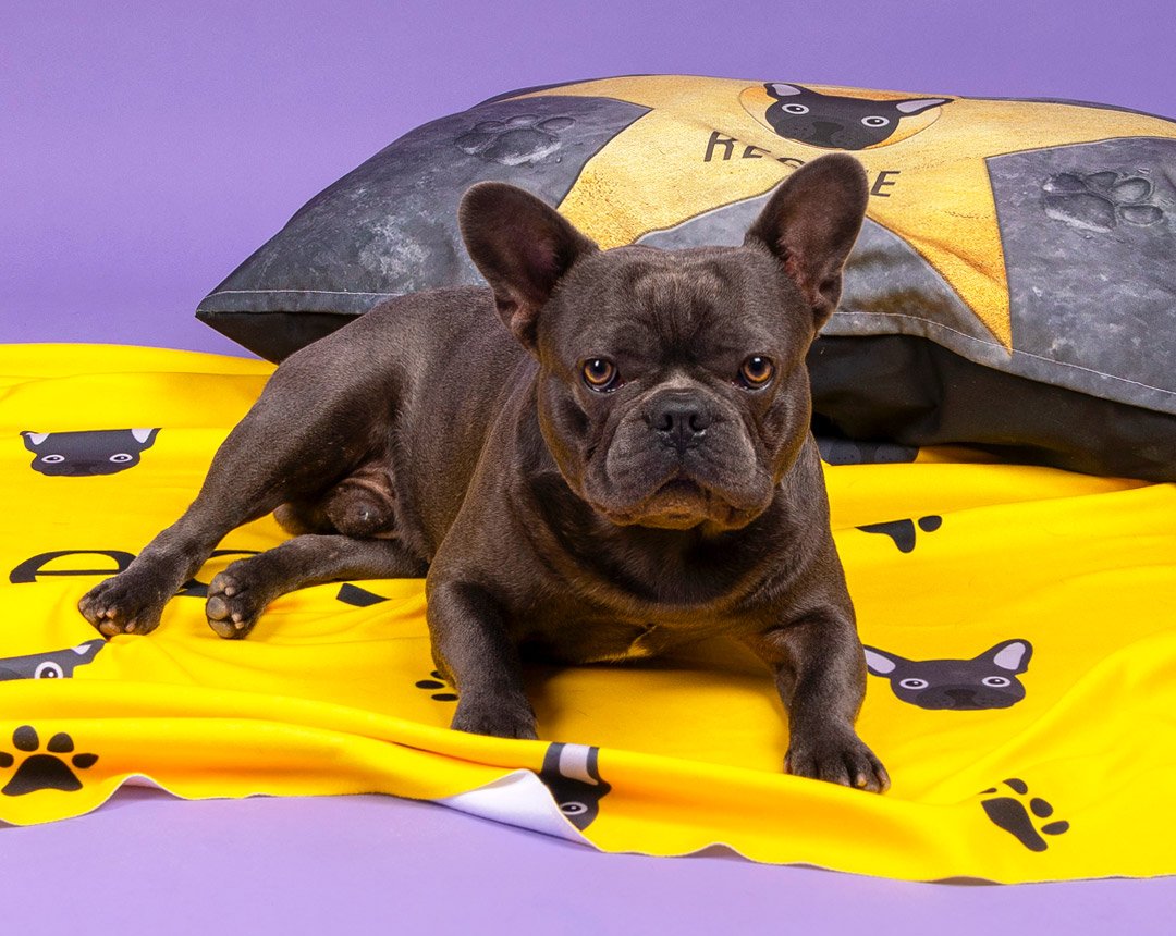 dog gifts, personalised dog gifts, dog blanket, personalised dog blanket, yappy blanket, yappy dog bed
