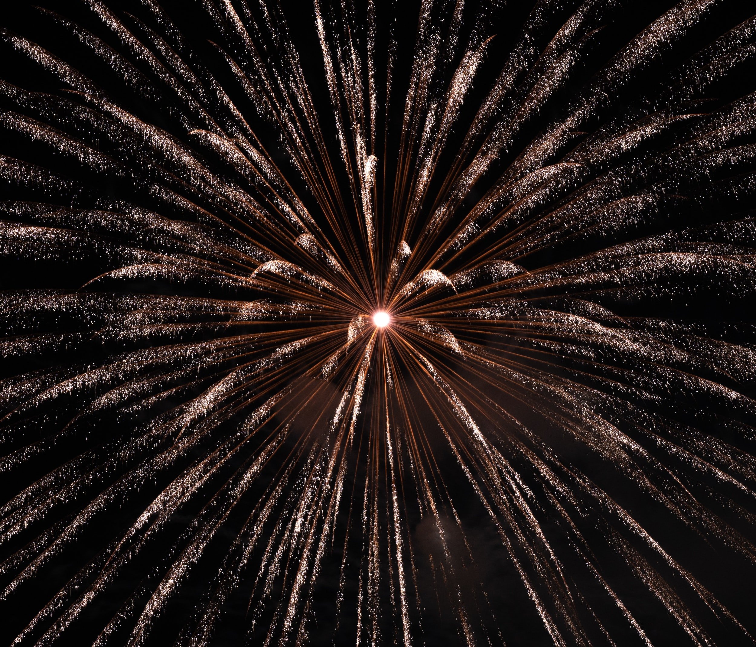 Are Cats Scared of Fireworks? Tips to Keep your Kitty Calm