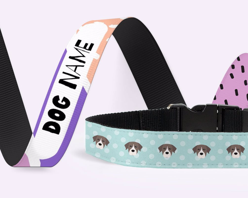 dog collar, personalised dog collar, dog walking accessories, personalised dog walking accessories