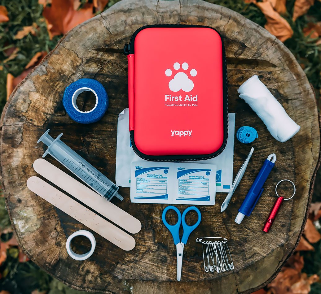 First Aid Kit1.jpg