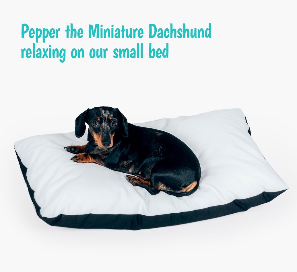 canvas_dog_bed_small.m.jpg