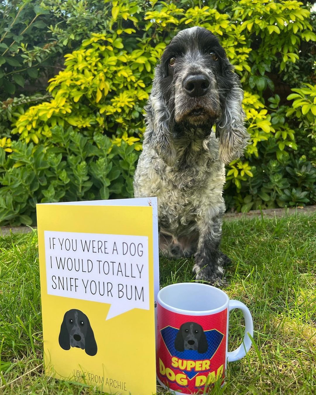 Super Dog Dad Mug