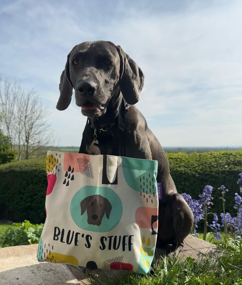 Personalised Dog Bags