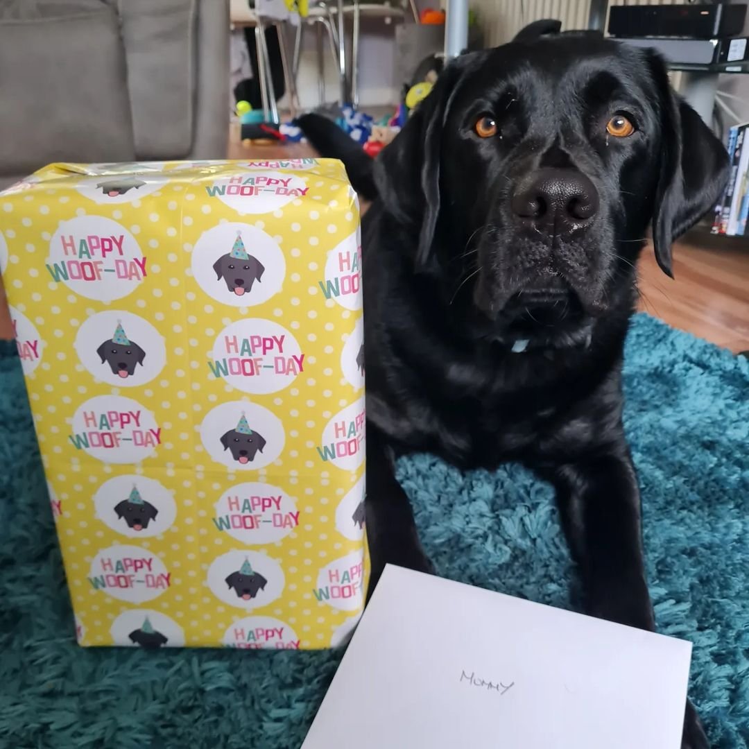 Happy Woof-Day Gift Wrap