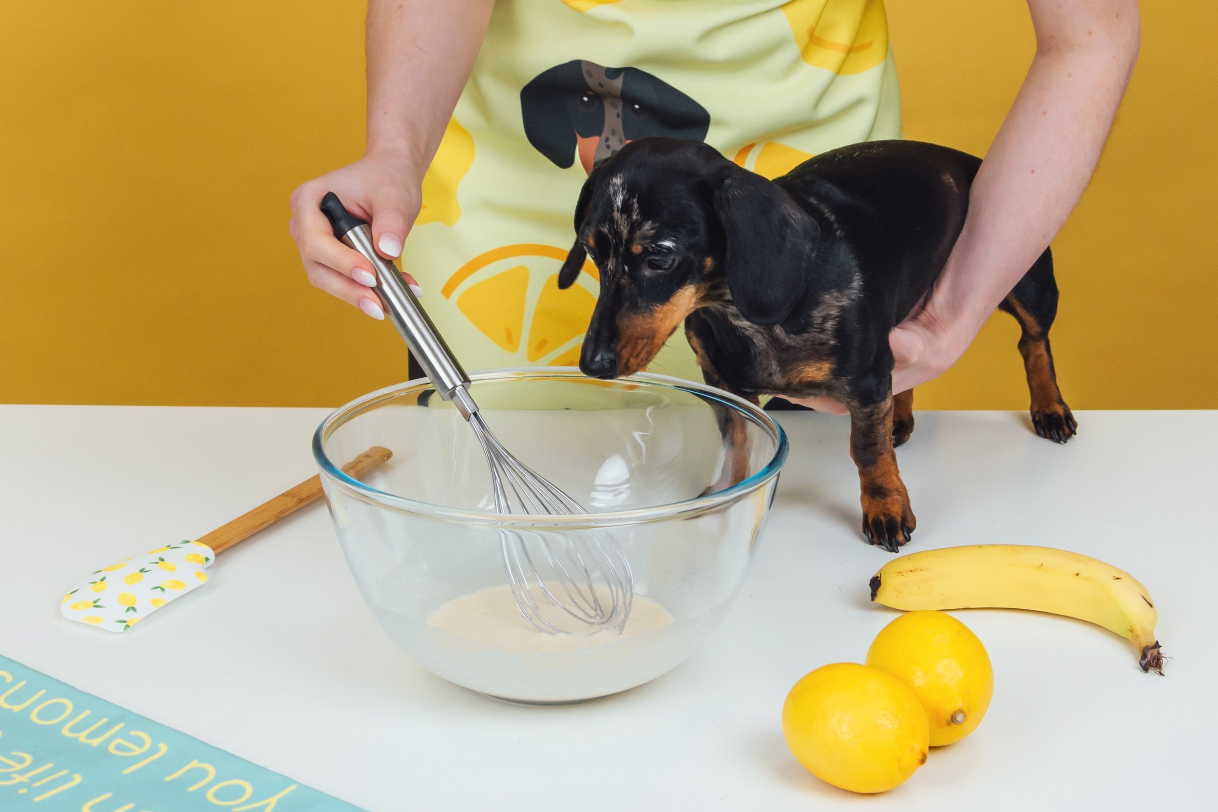 dog pancakes, dog-friendly pancakes, miniature dachshunds, dogs baking