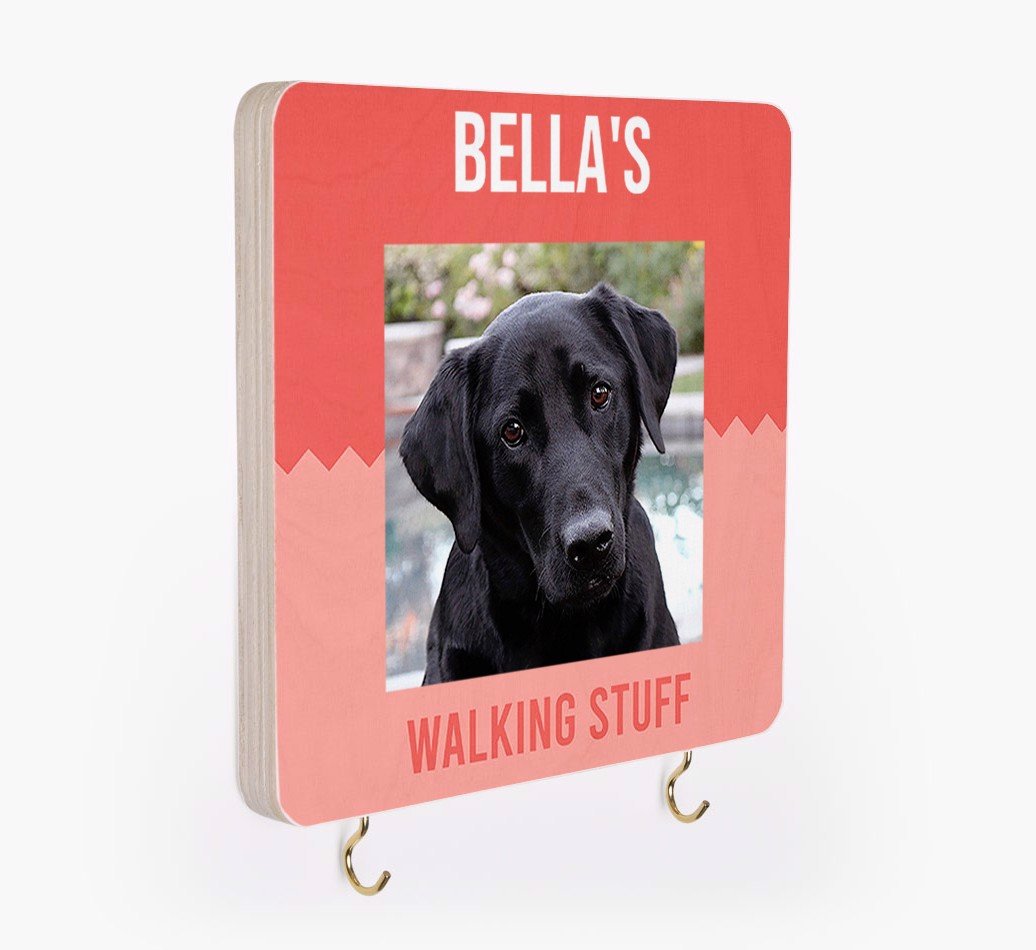 Dog walking essentials, dog leads, dog collars, personalised dog leads, personalised dog collars