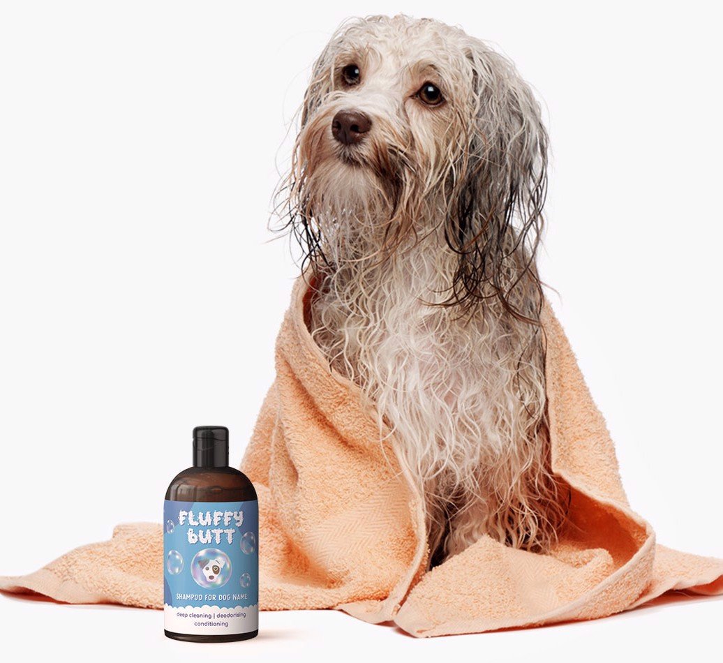 dog grooming, dog shampoo, dog bath shampoo, personalised dog shampoo, yappy dog shampoo
