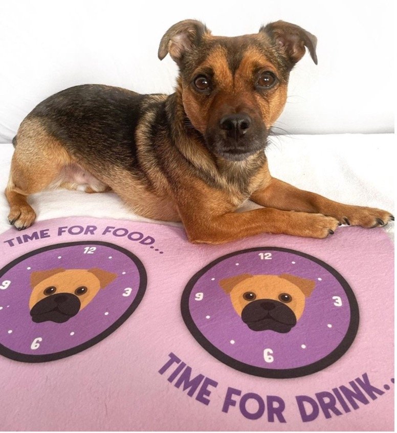 dog feeding mat, personalised dog feeding mat, feeding mat for dog, dog and food mat