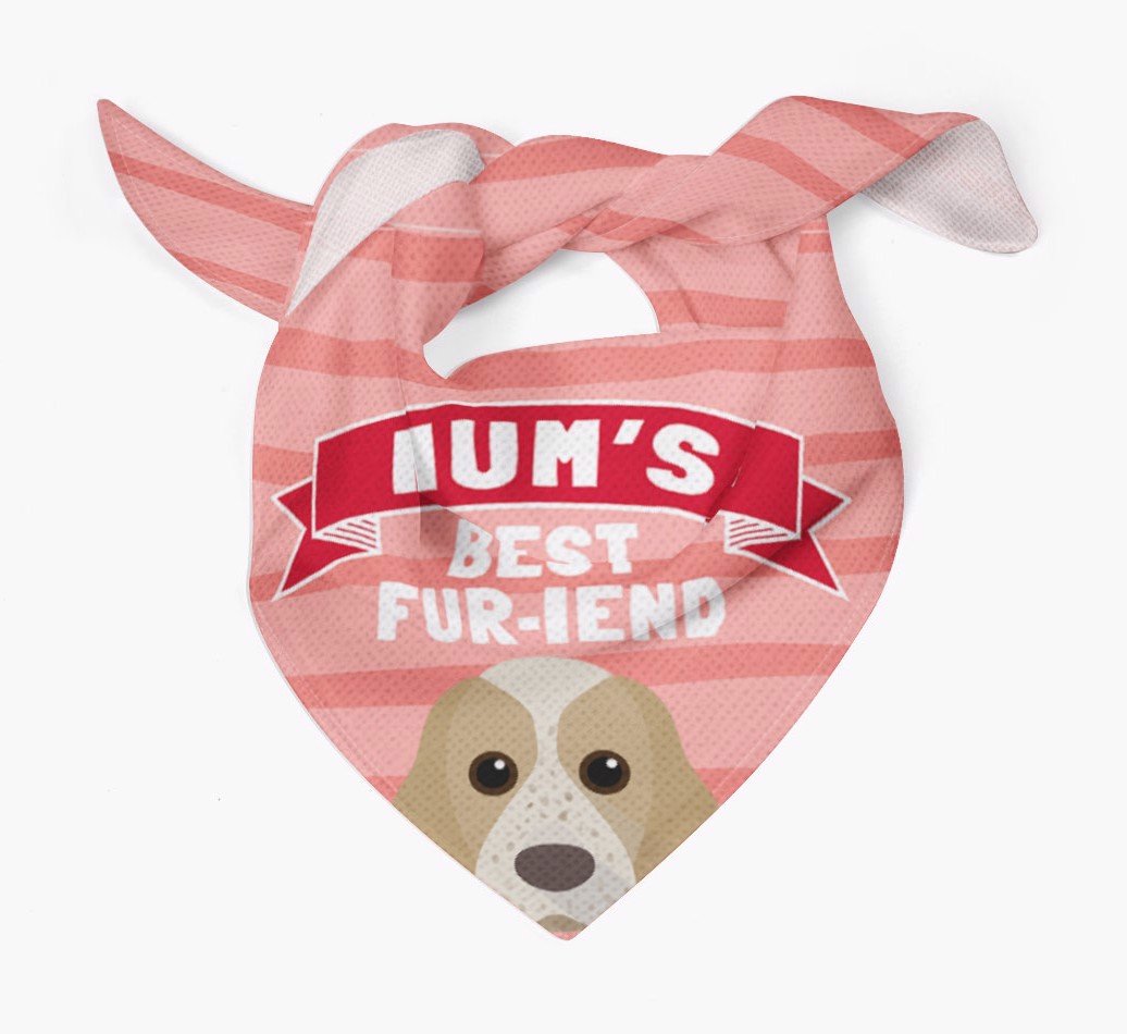 personalised dog bandana, dog mum bandana, mums best friend dog bandana