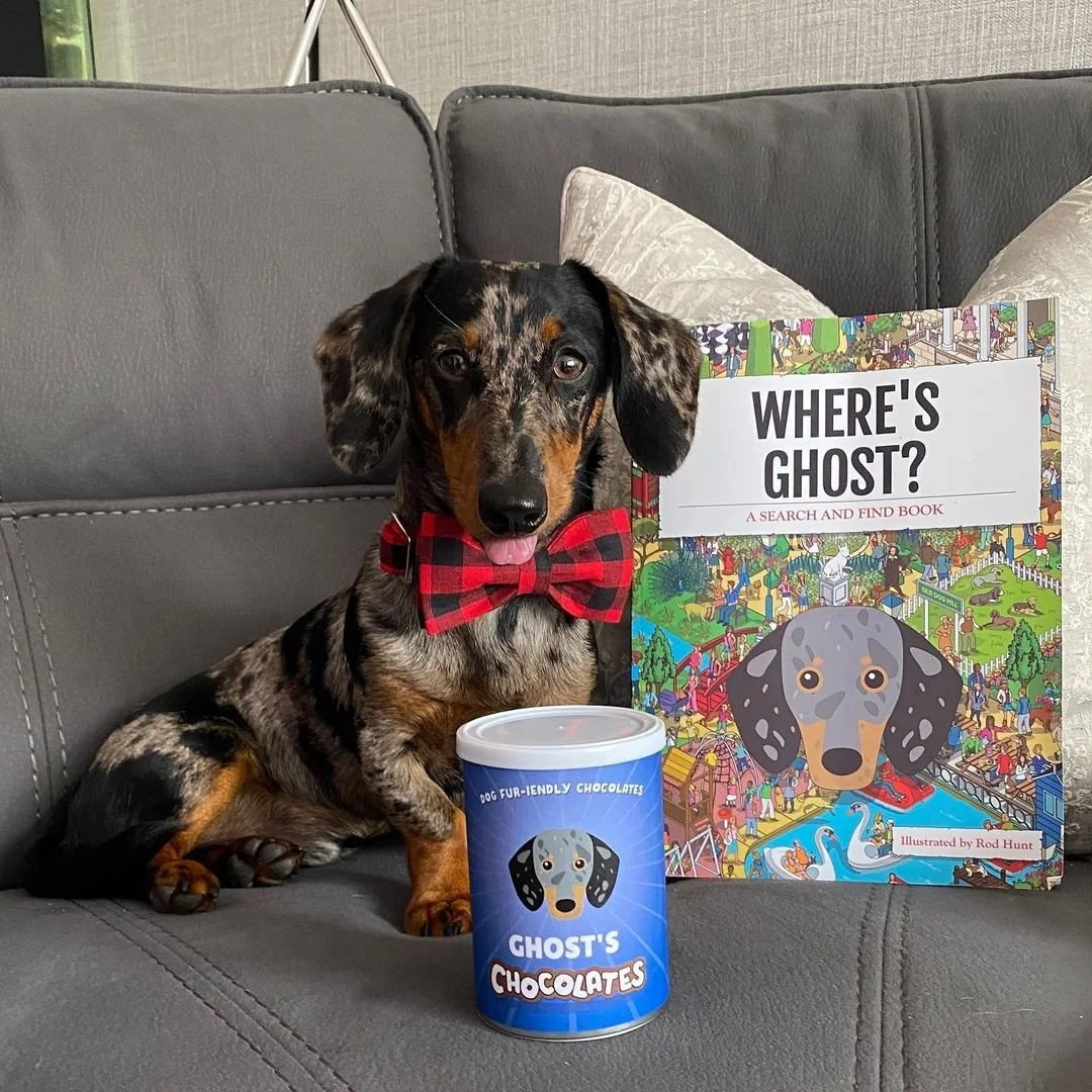 How Should A Dog Wear A Bandana