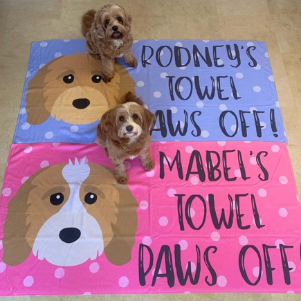 cavapoos, personalised cavapoo blankets, do dogs need blankets, does my dog need a blanket at night