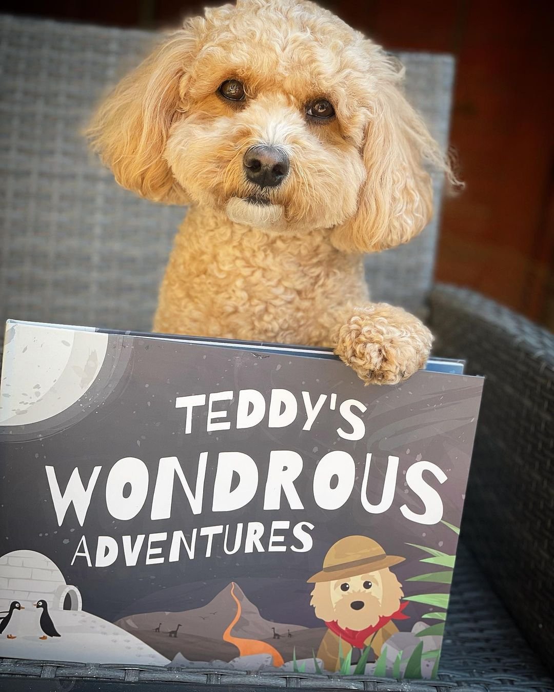 dog influencers, personalised dog storybook, adventure book