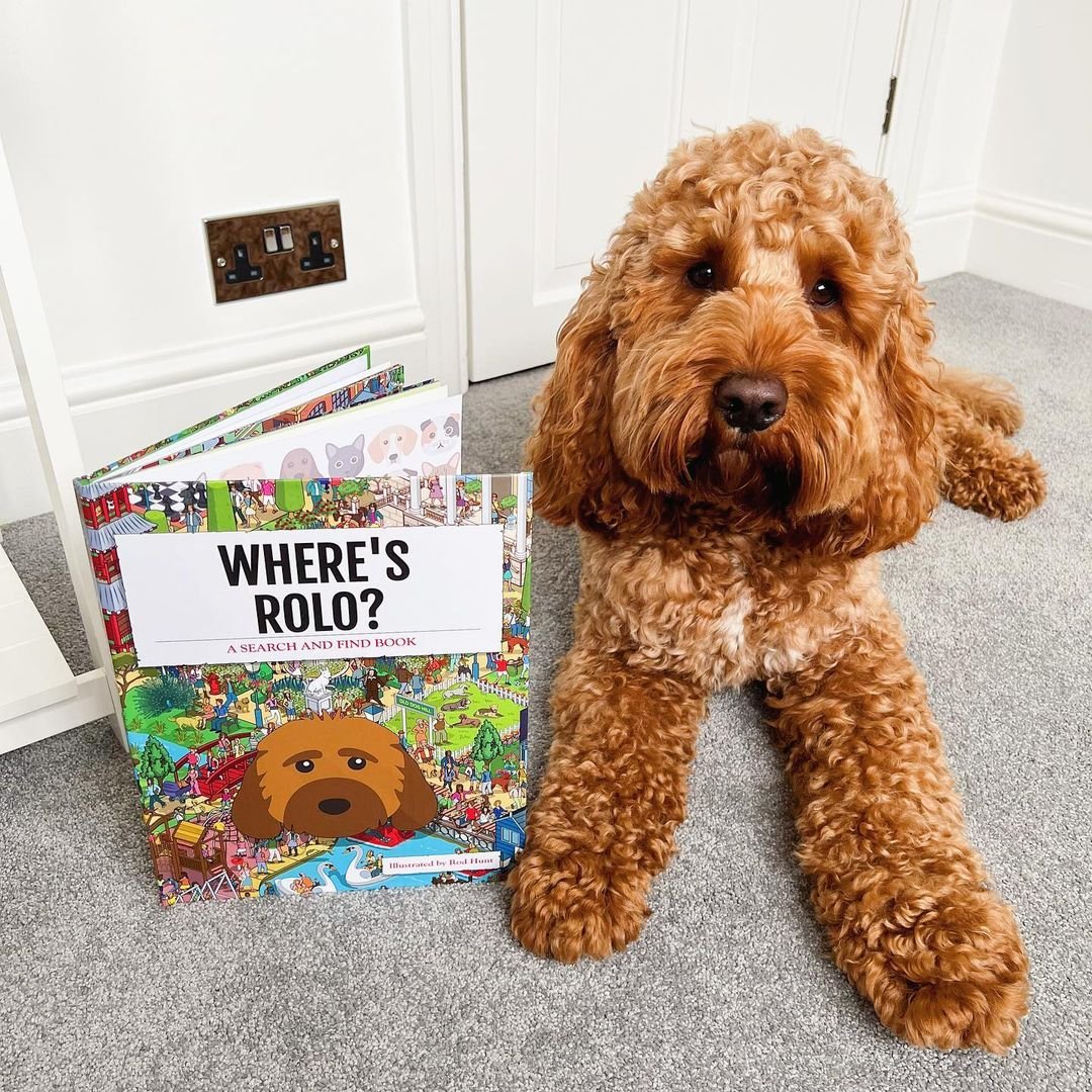 personalised dog book, dog influencers, dog brand ambassadors