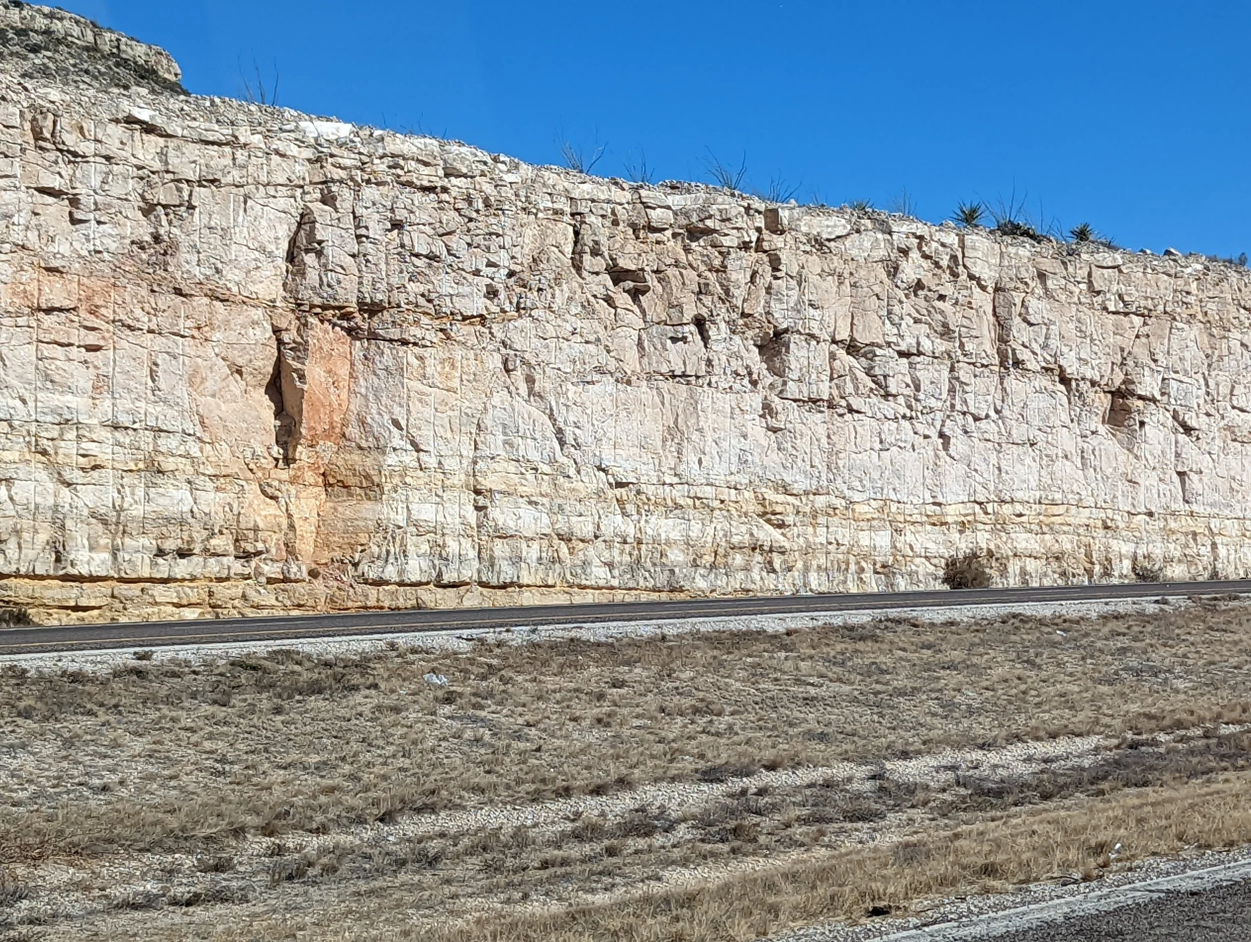 Texas limestone in situ