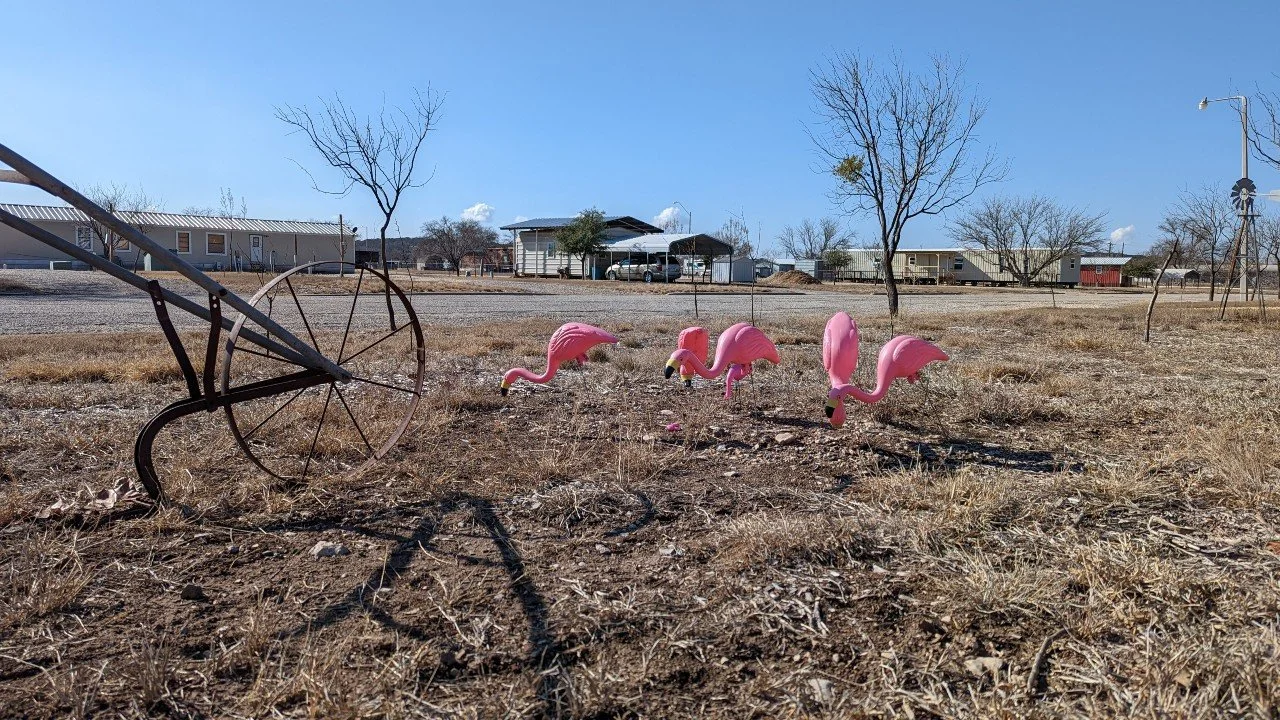 Caught a pic of the wildlife near our parking spot in Stadium RV at Sonora TX