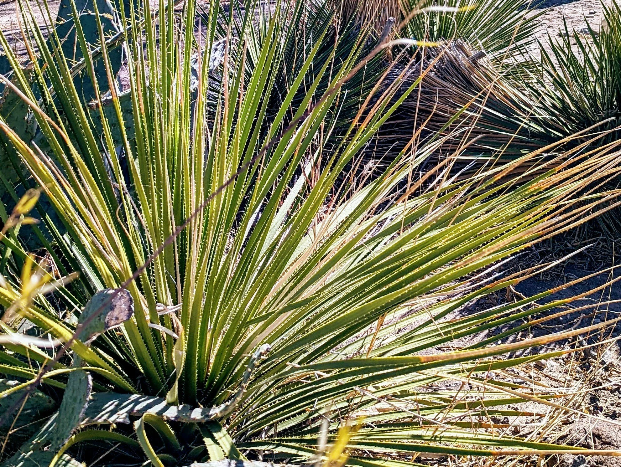 PXL_20220129_185540153.jpg