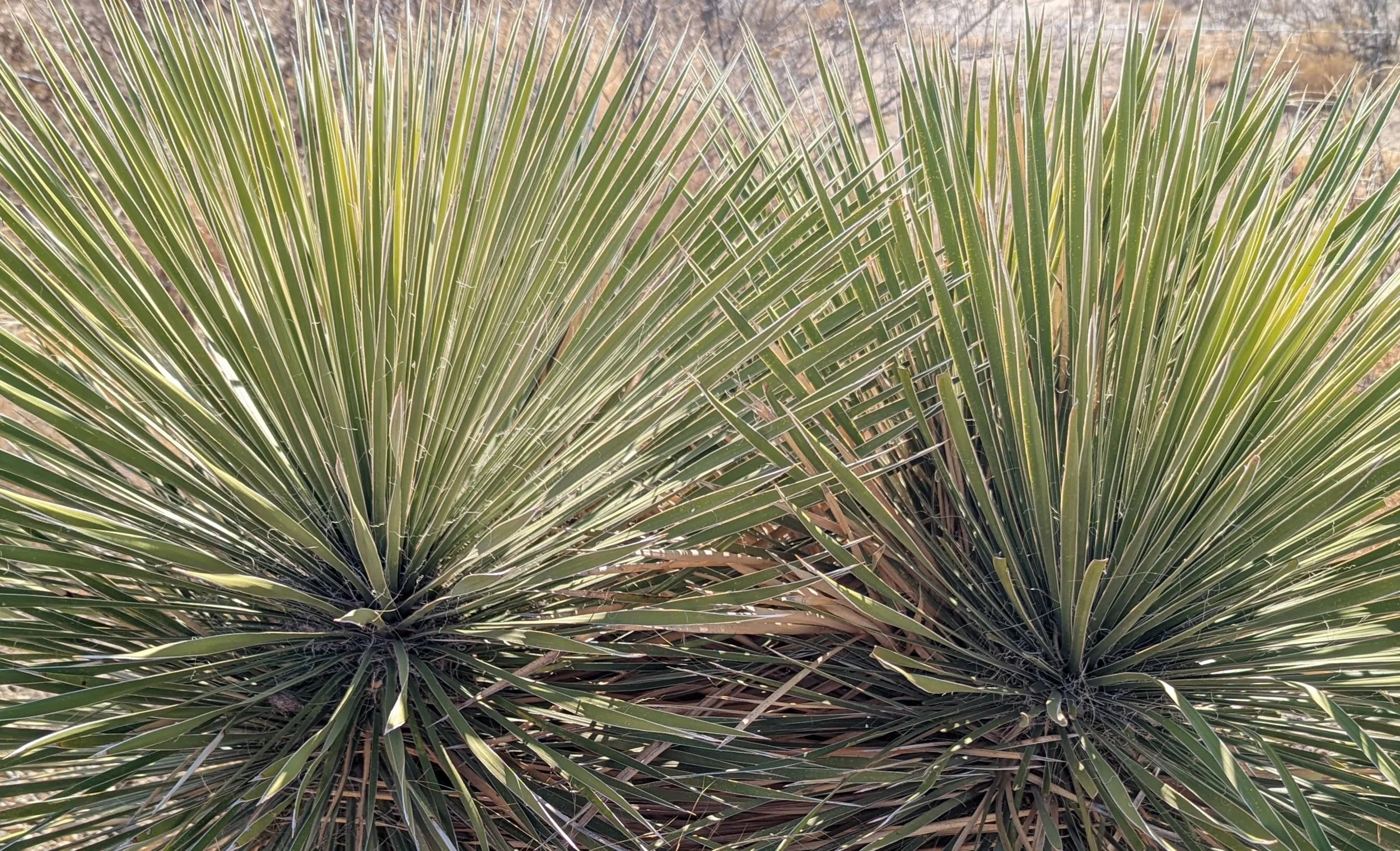 PXL_20220129_184205115.jpg