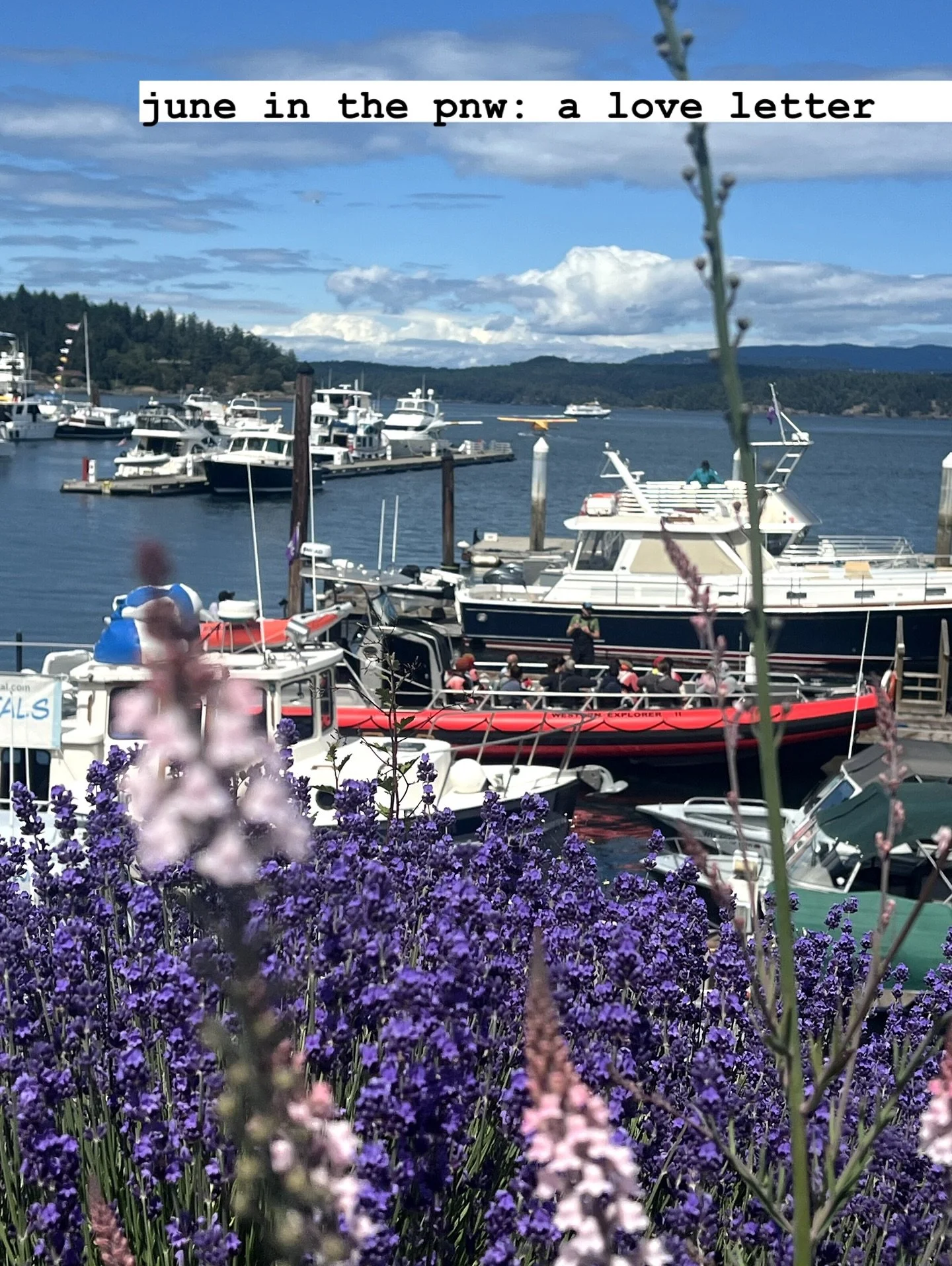 lil Seattle appreciation photo dump. summer just hits different in the pnw: legit obsessed with where we live... at least the sun is helping me cope with the state of the world (a little bit) ☀️🏔️
.
.
.
#pnwliving #seattlelife #nokings #pnwsummer #p