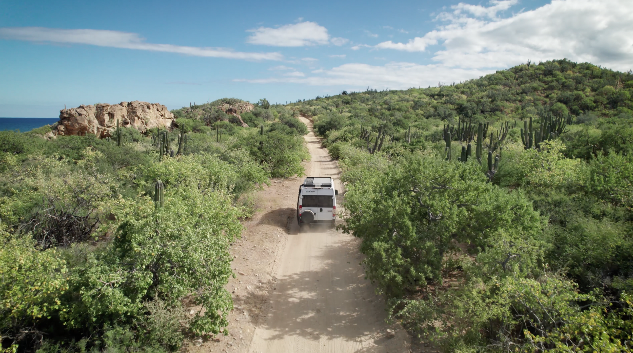 “The Must of the South Loop”