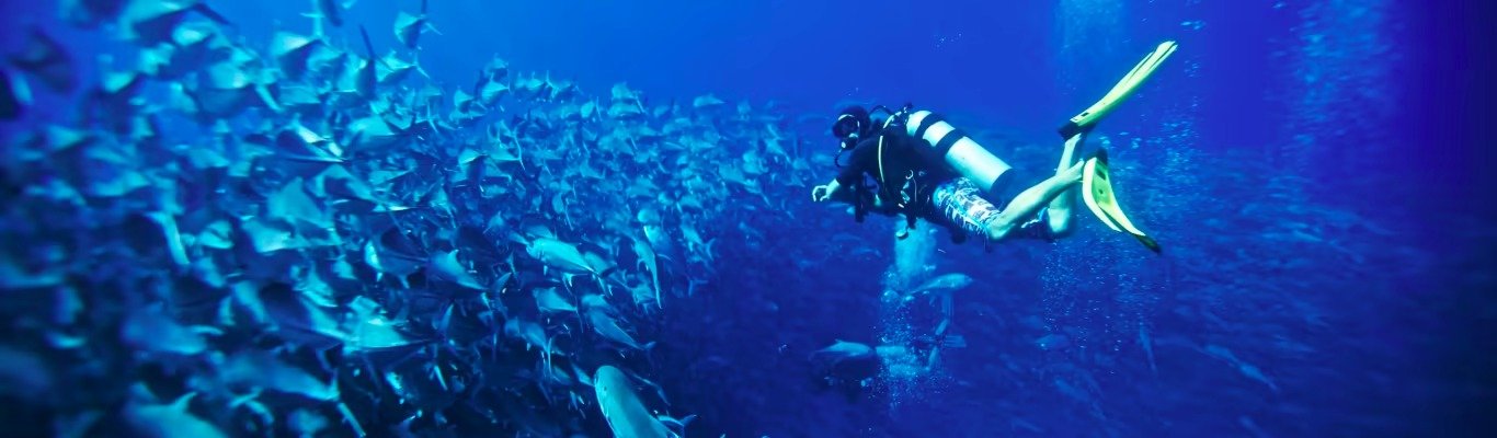 Cabo Pulmo Diving