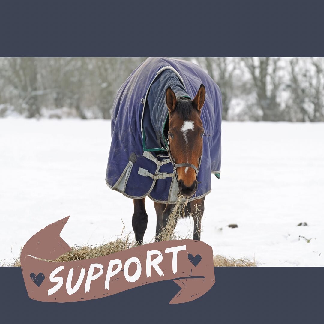 Now through December 31st we will be raising money to help feed our horses this winter. Hay is one of our most significant expenses, and our horses eat anywhere from 8-10 bales per day. With the rising cost of hay and lower enrollment over the winter