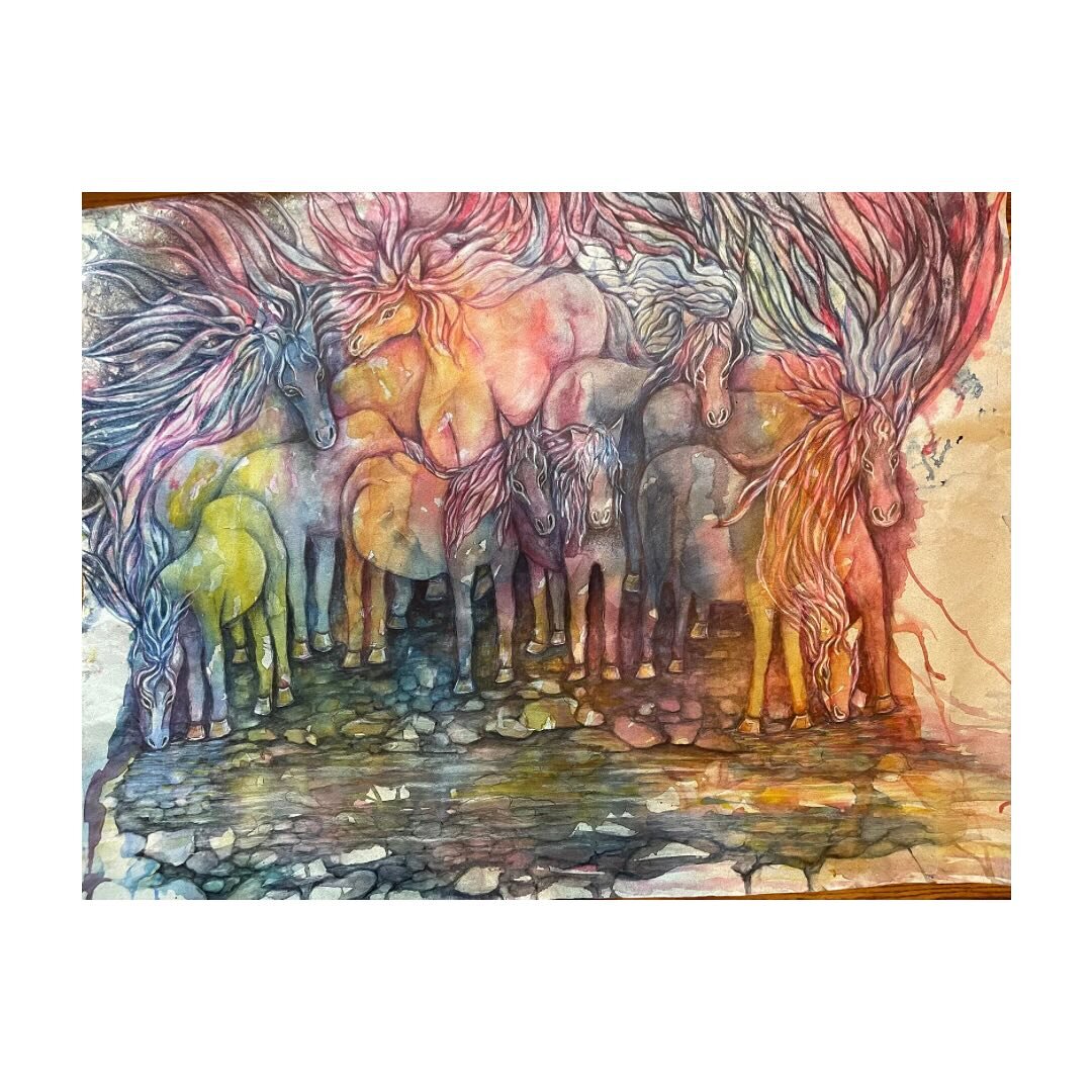 Our hay fundraiser is underway! One bale of hay can cost us up to $16.00 Please consider donating! With a contribution of $100 or more we are offering beautiful horse artwork by Linda Sedda. Click the PayPal link in our profile to find out more.