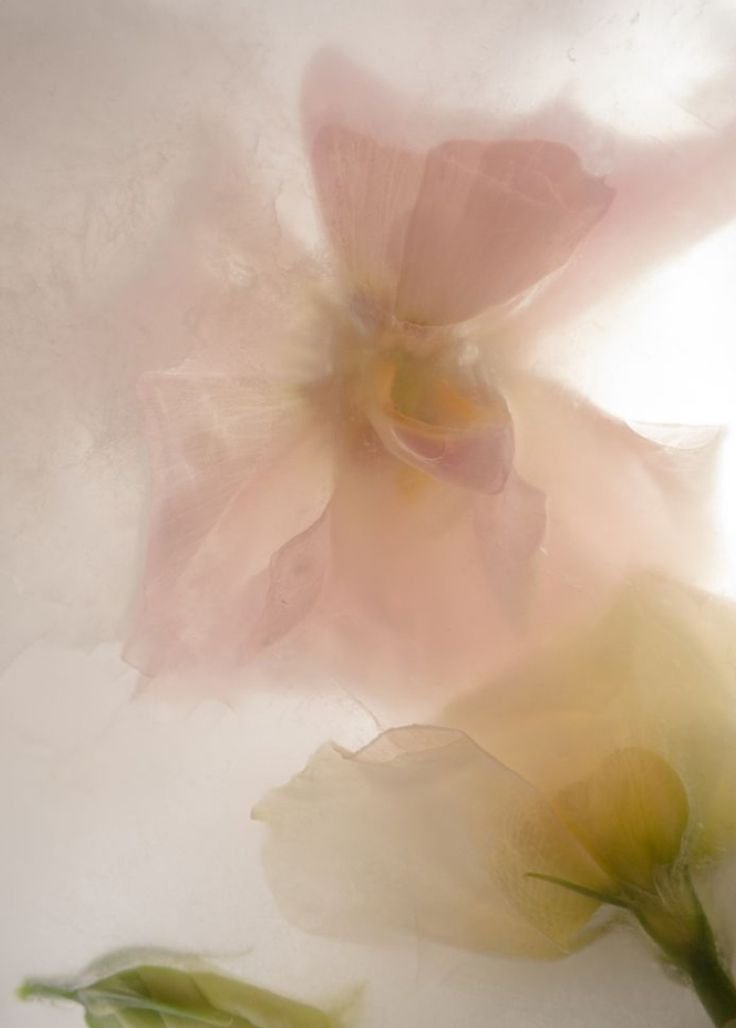 ecec8d35a6717cb584f649ba93476fe5 (1).jpg