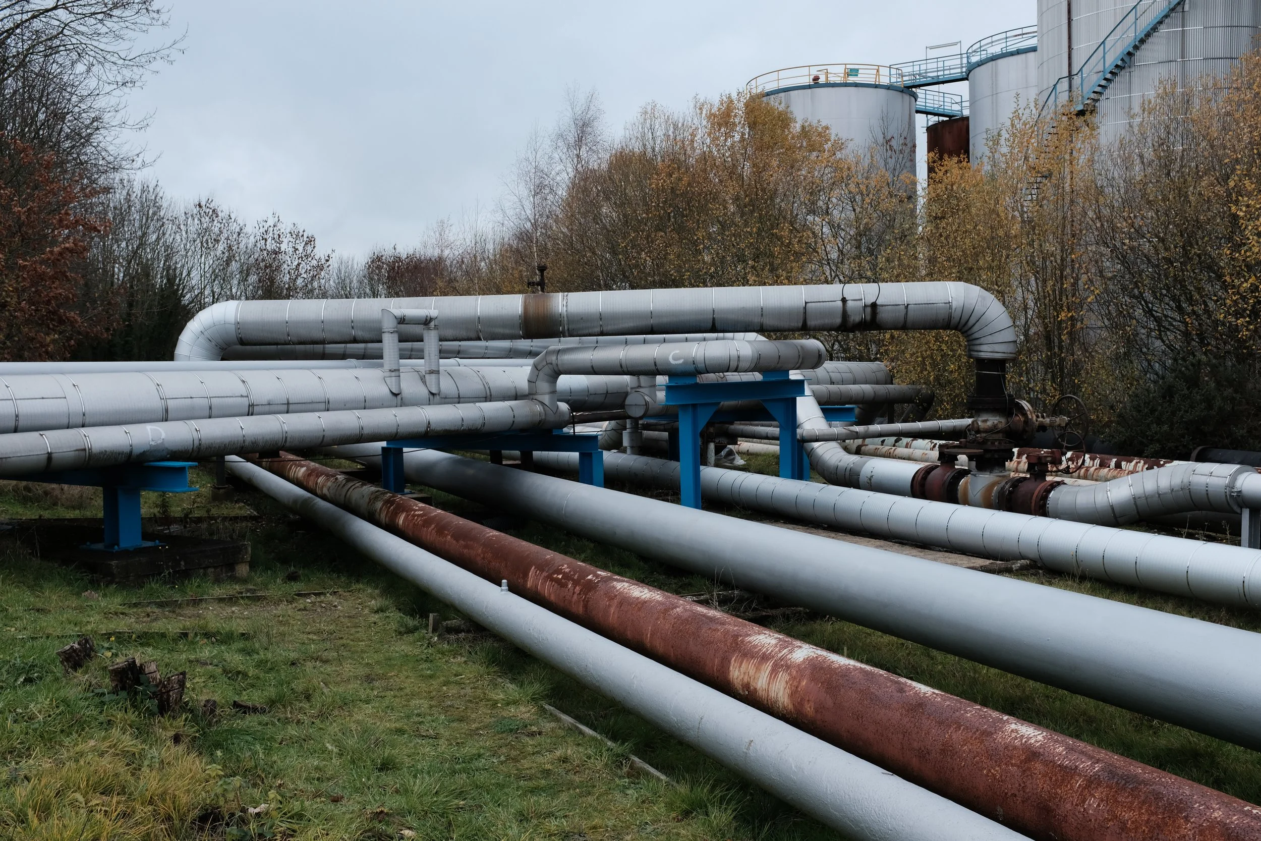 FUJIfirstcard 360.JPG