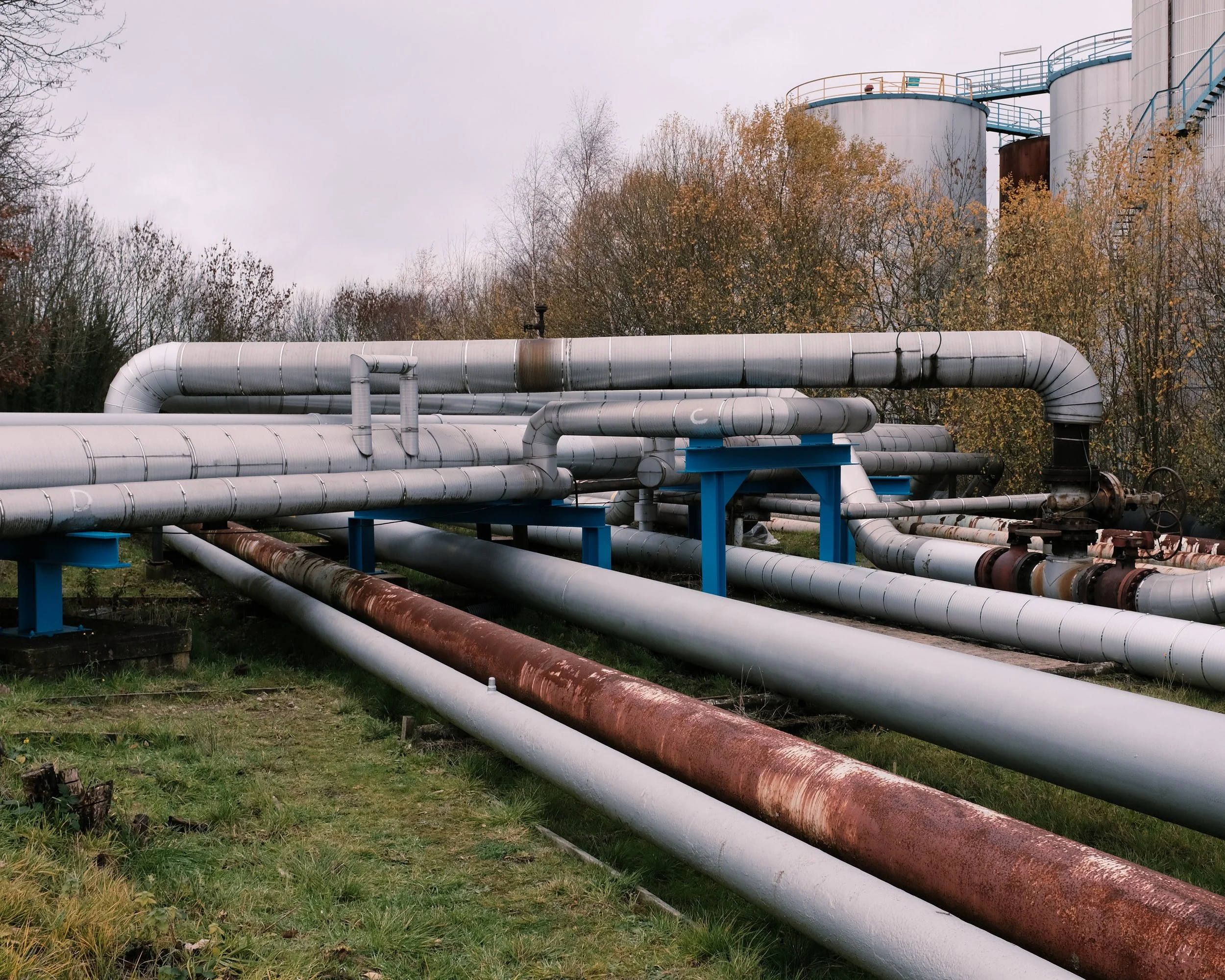 FUJIfirstcard 360.jpg