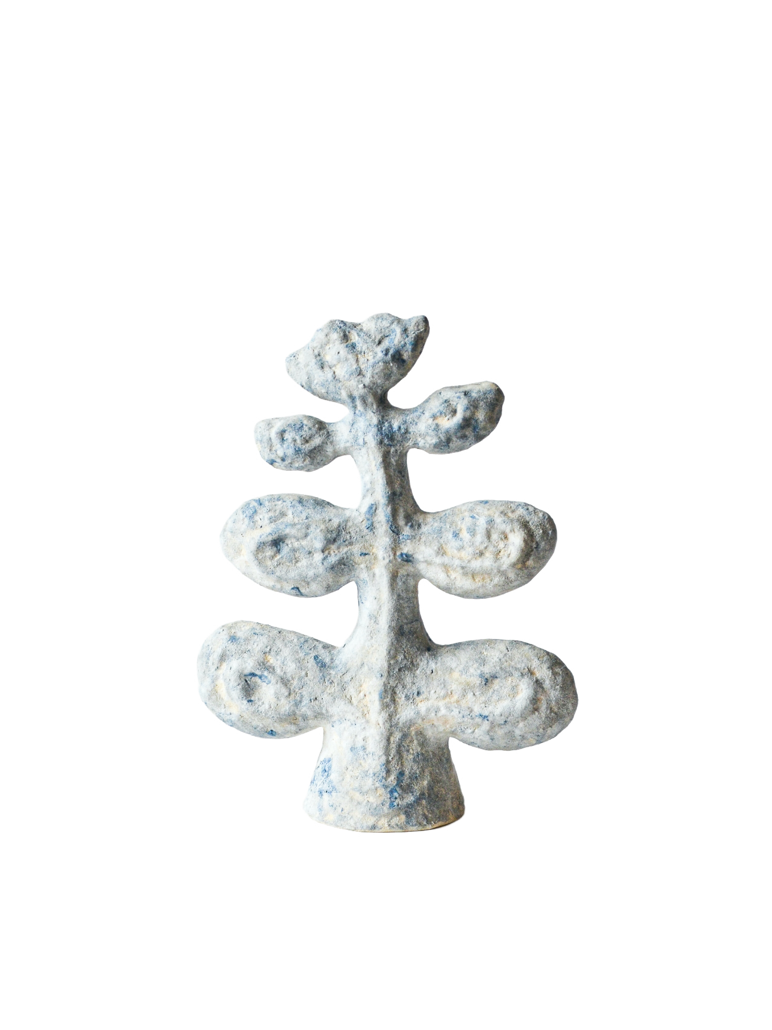 WHERE SHADOWS BLOOM, 29.5 23 x 9.5 CM