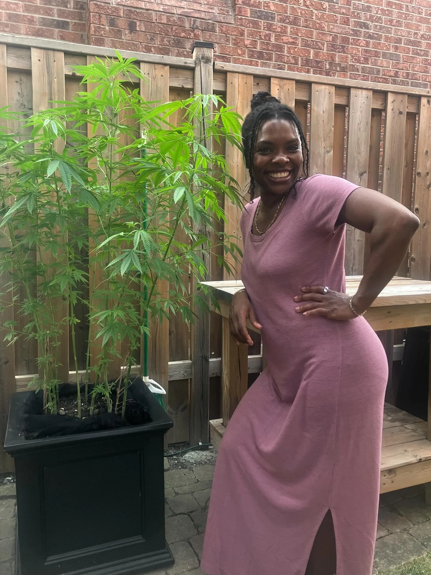 Know what bush this is? I&rsquo;ll give you a few clues.

💚 It helps to regulate pain which can be useful for chronic conditions including endo, pcos, painful periods, and interstitial cystitis (painful bladder) etc.

💚 It has anti-inflammatory pro