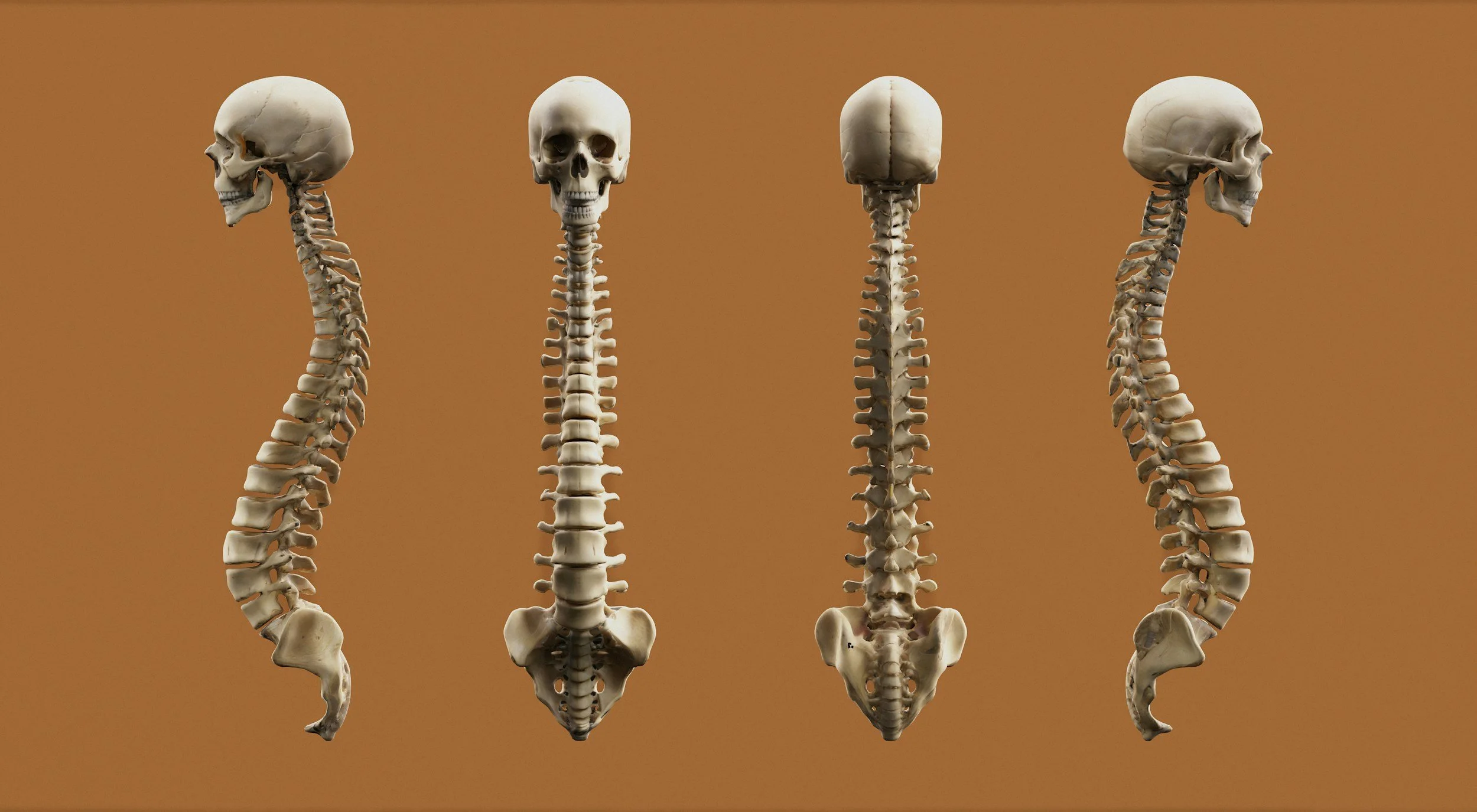 The Surprising Link Between Your Jaw and Your Pelvic Floor