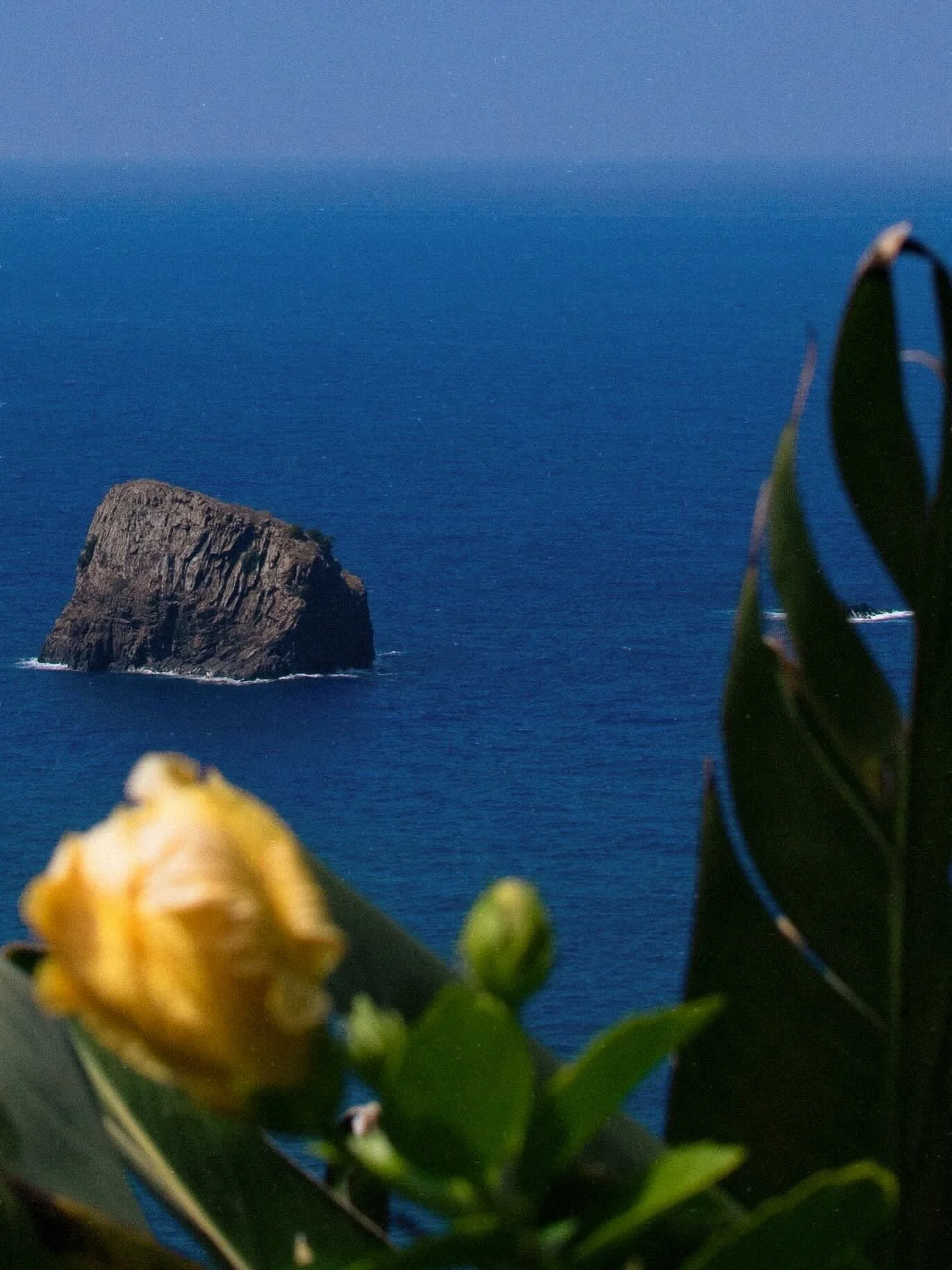 Horizonte belo no Porto da Cruz 🪼