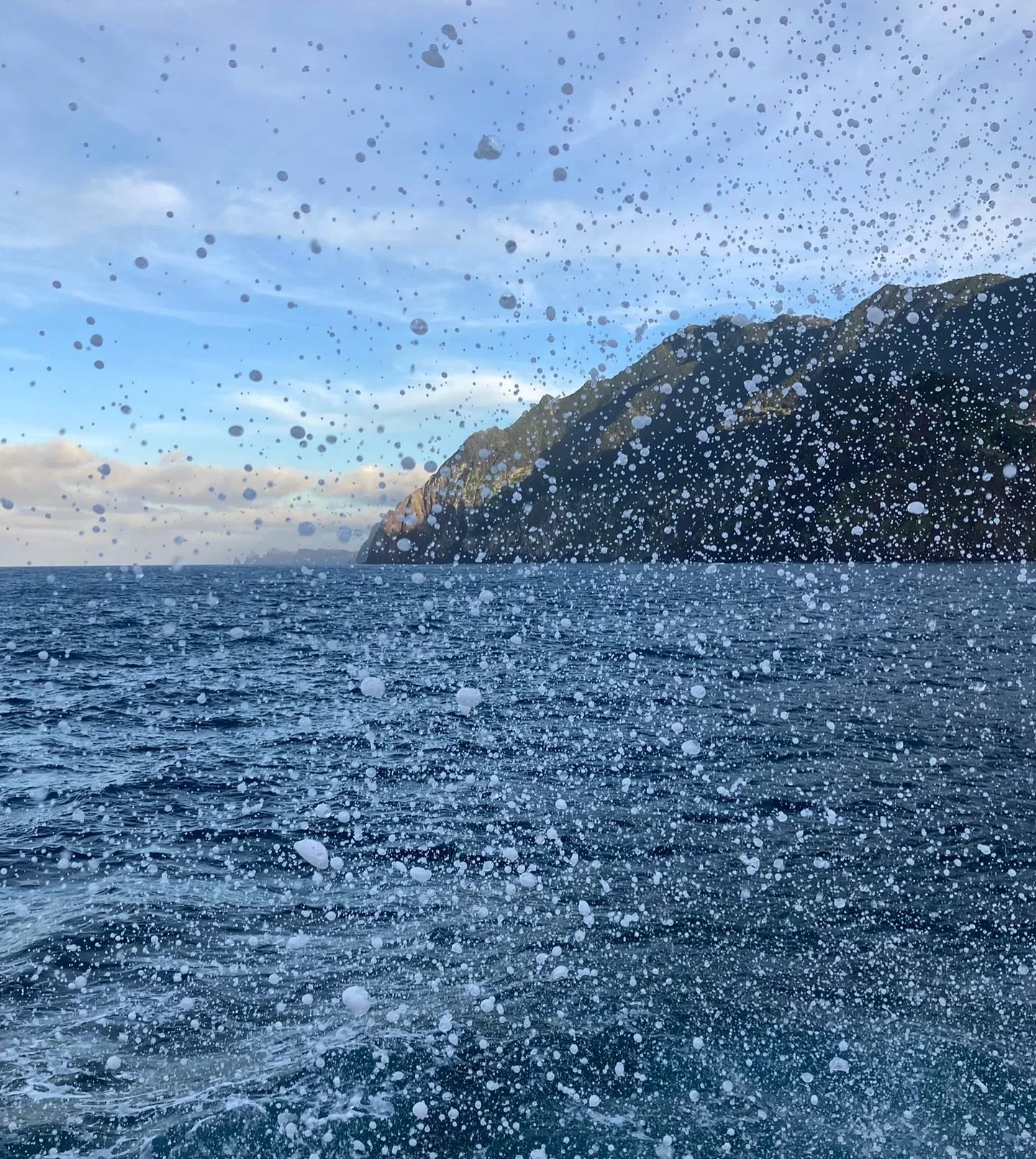 With all the sentiment we have left this year: 
In 2025 we wish to be present, love, laugh, cry, move fast, slow down, make mistakes, explore, stay curious, open hearts, live every small moment to the fullest. 

Feliz Ano Novo from Jacas 💫🌊