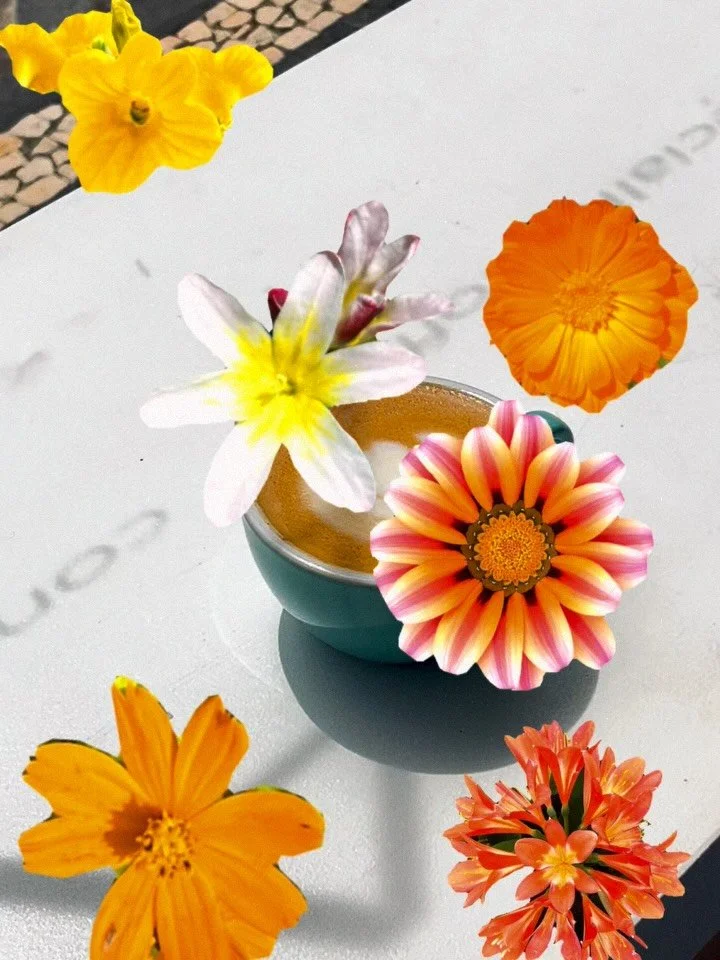 somewhere between coffees and the colours of the last days of May 🌸🌼 

summer ahead! Iced lattes, we are ready! 🐬
